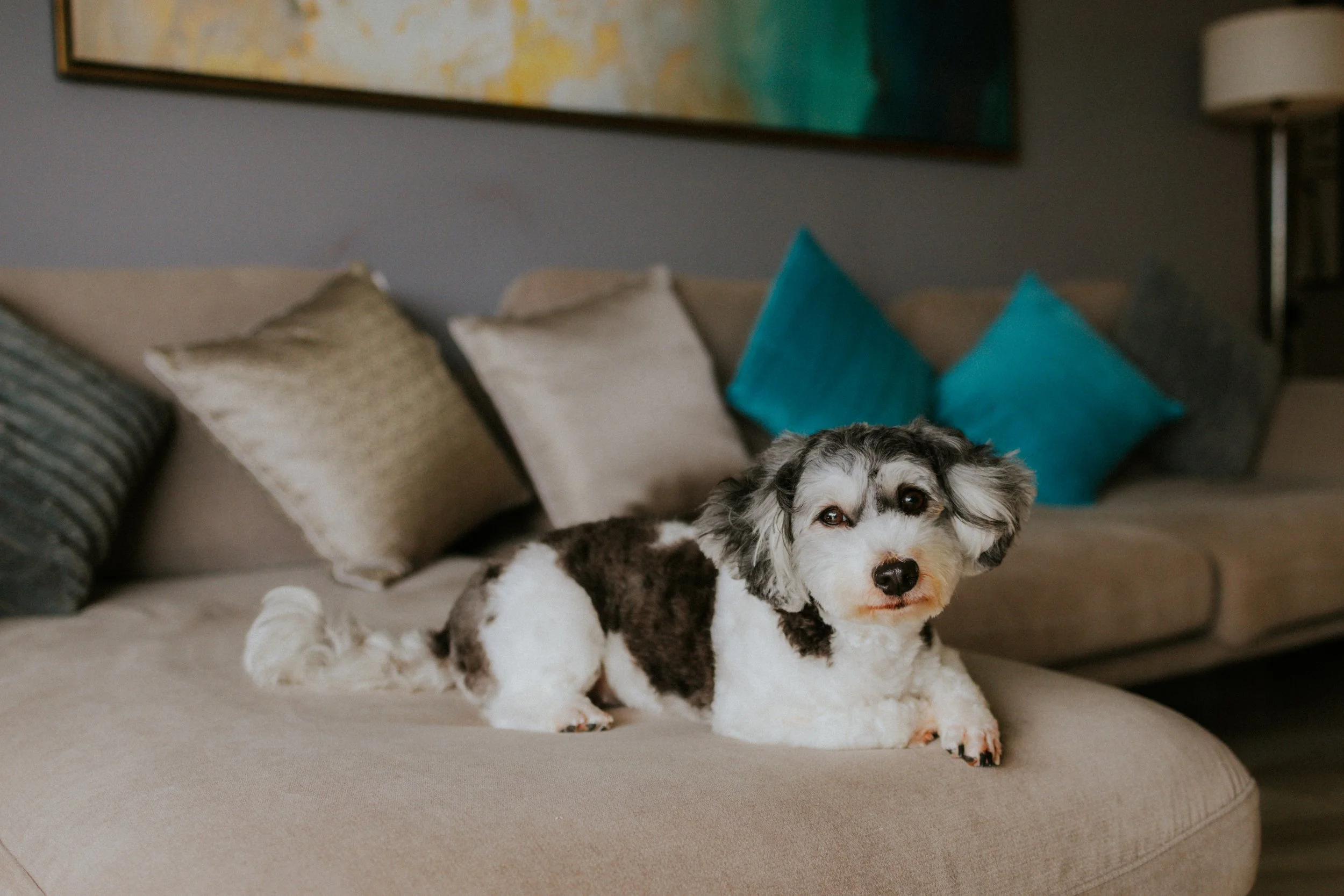 Kyra and Bailey-2.jpg