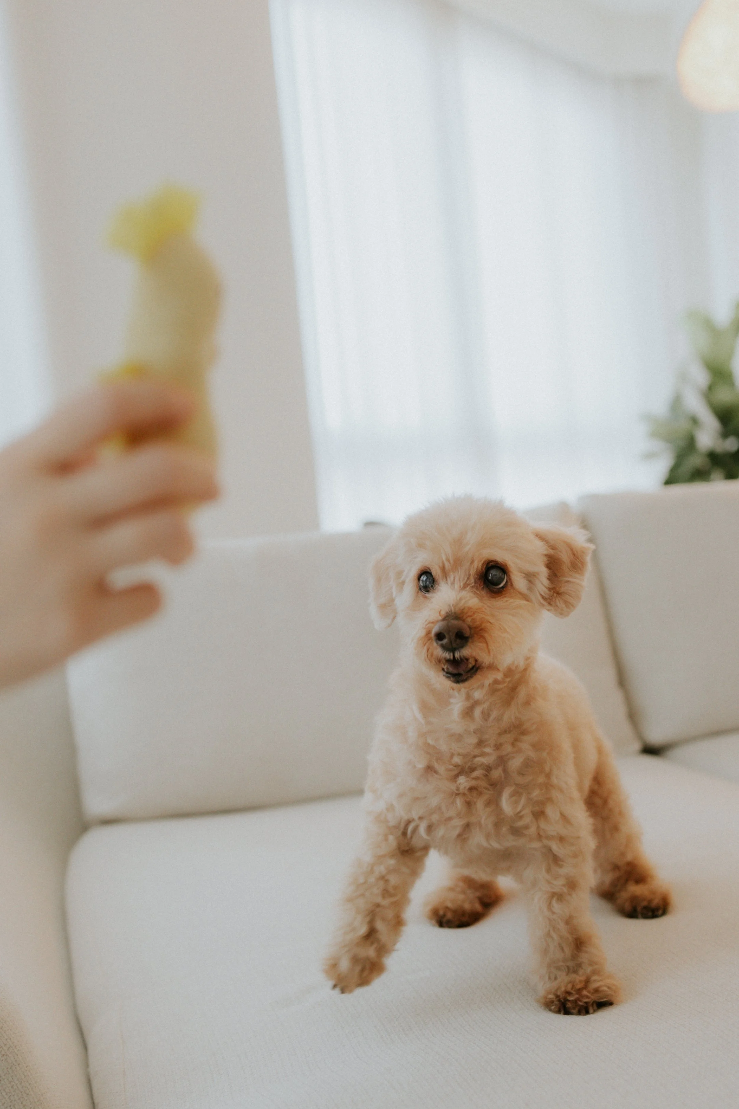 Robyn and Family-3.jpg