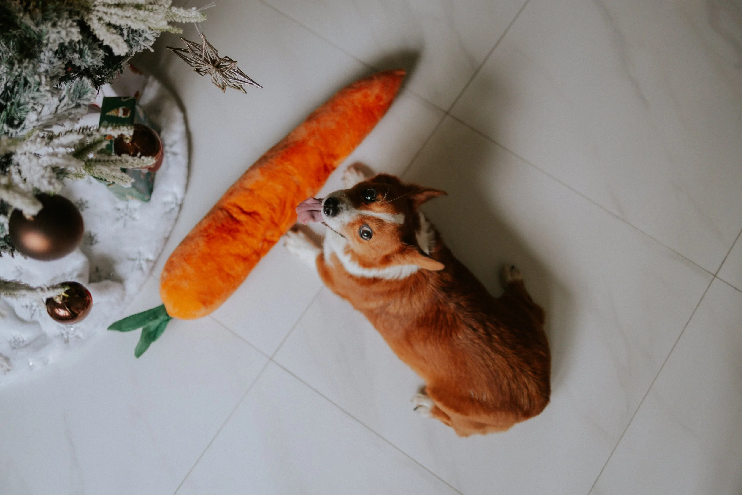 Vivi, Justman & Oli-9.jpg