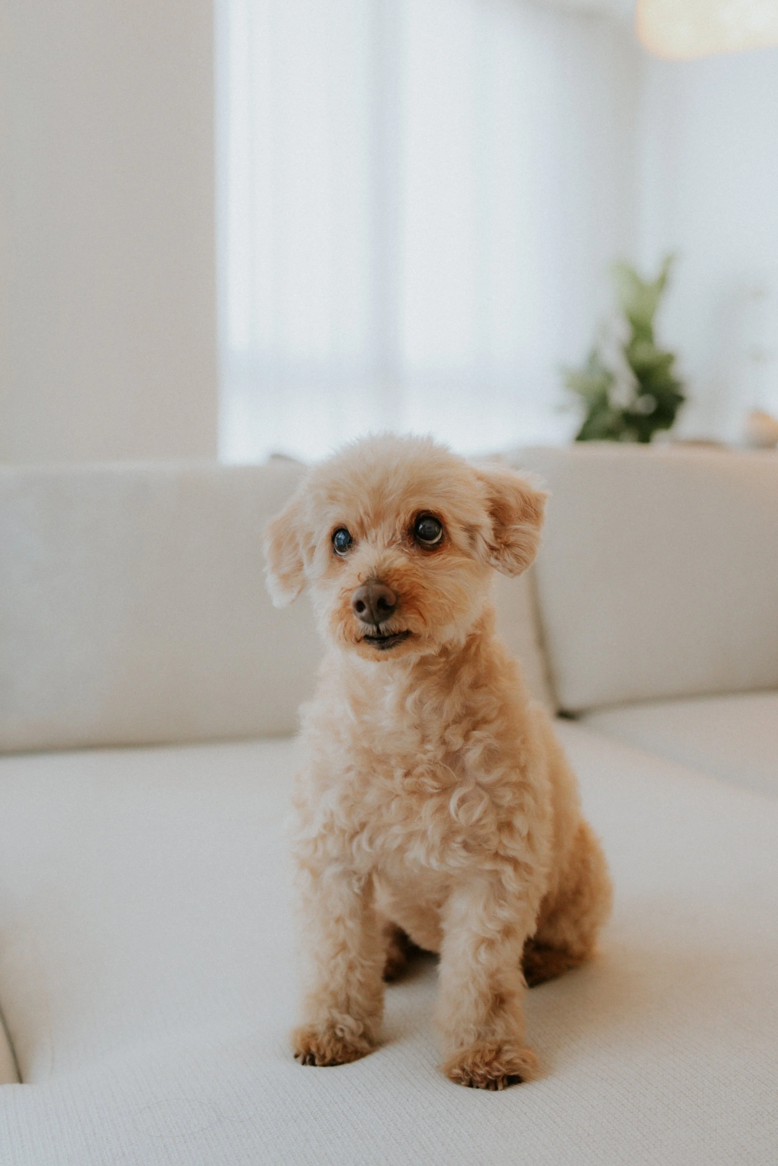 Robyn and Family-4.jpg