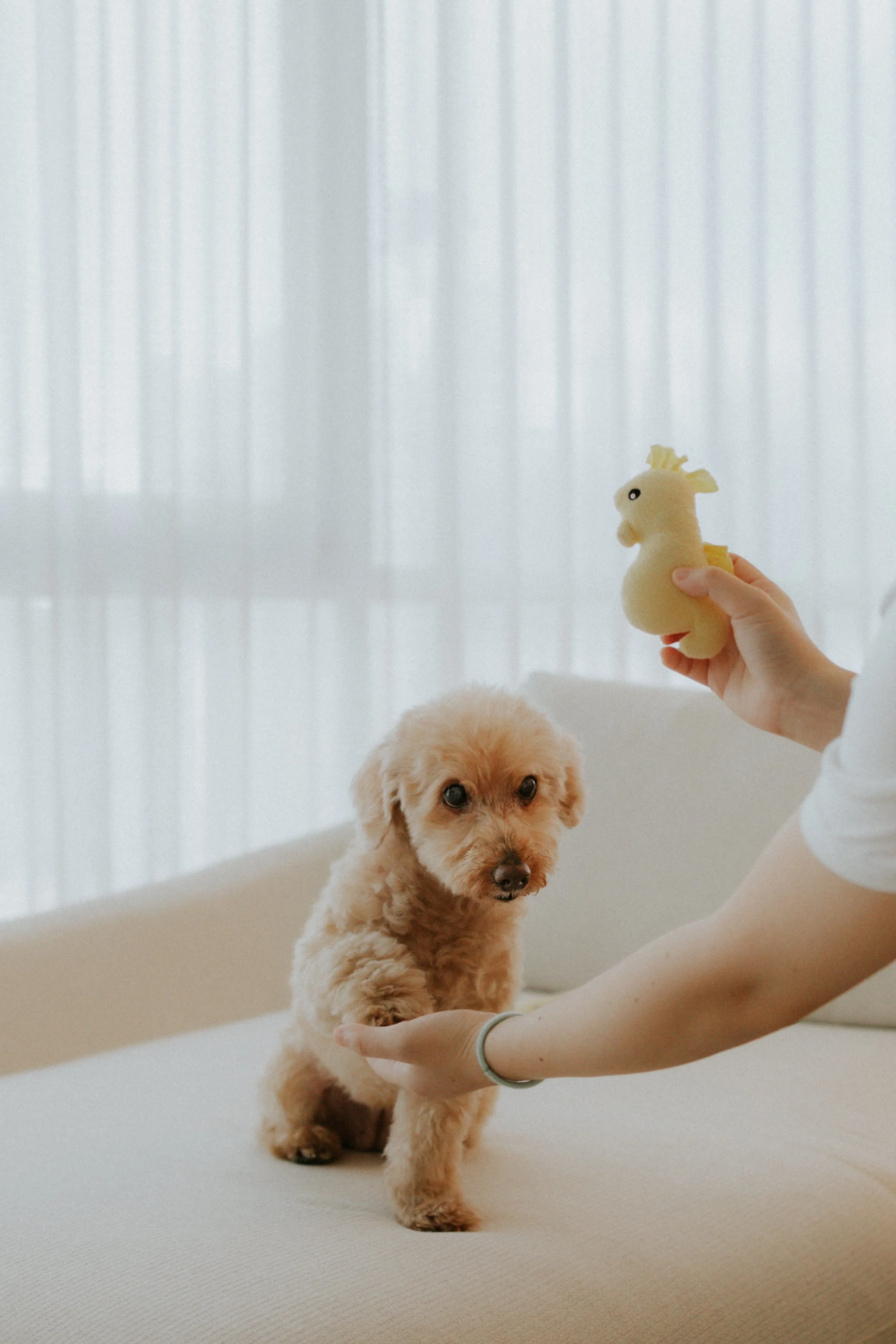 Robyn and Family-10.jpg