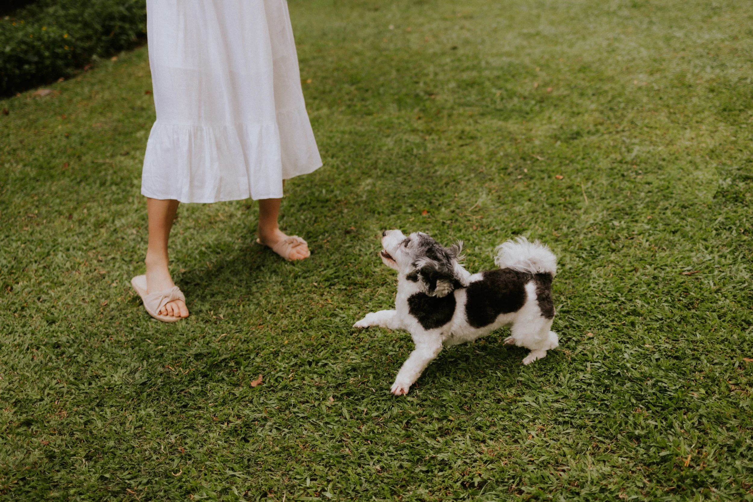 Kyra and Bailey-46.jpg