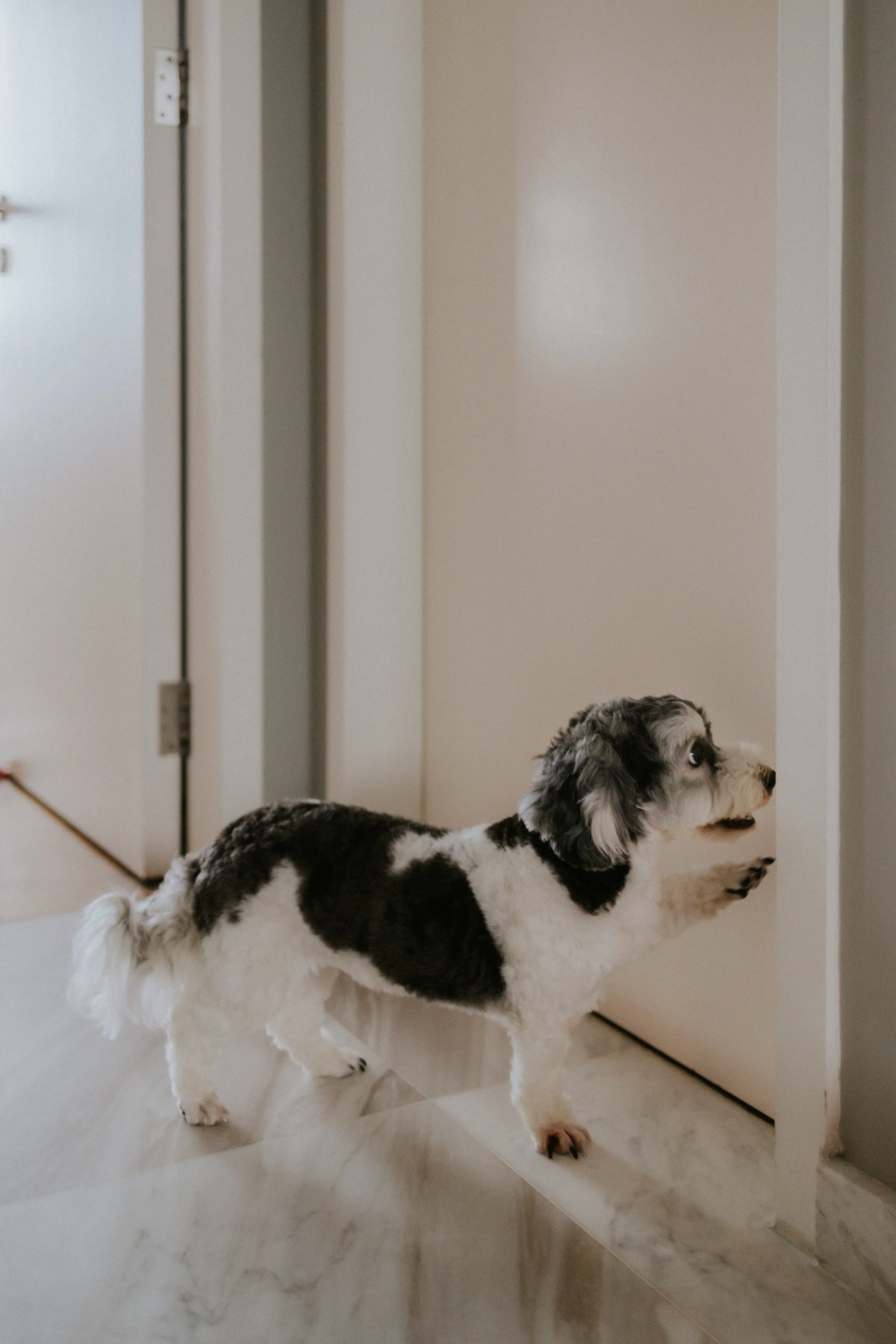 Kyra and Bailey-26.jpg