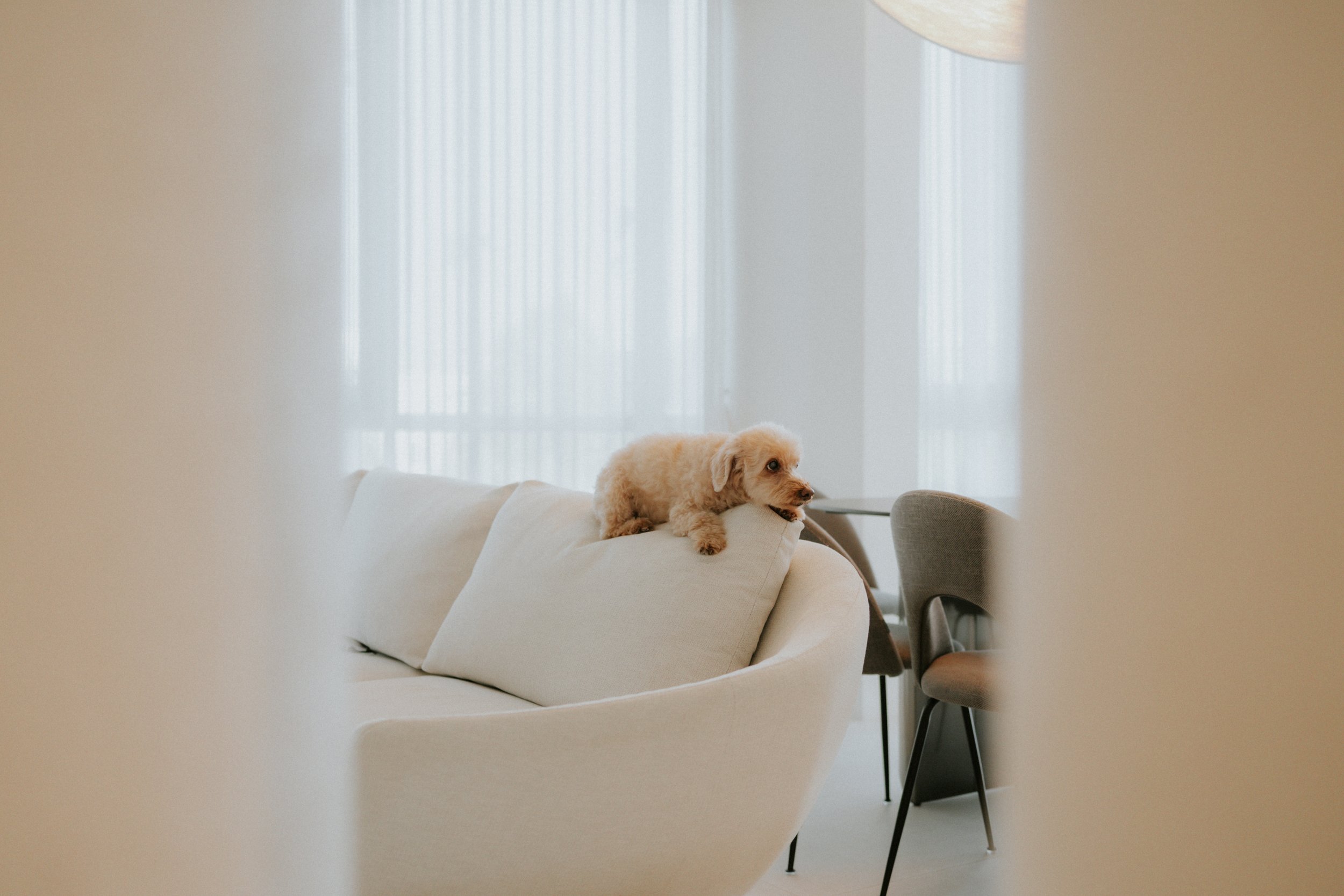 Robyn and Family-12.jpg