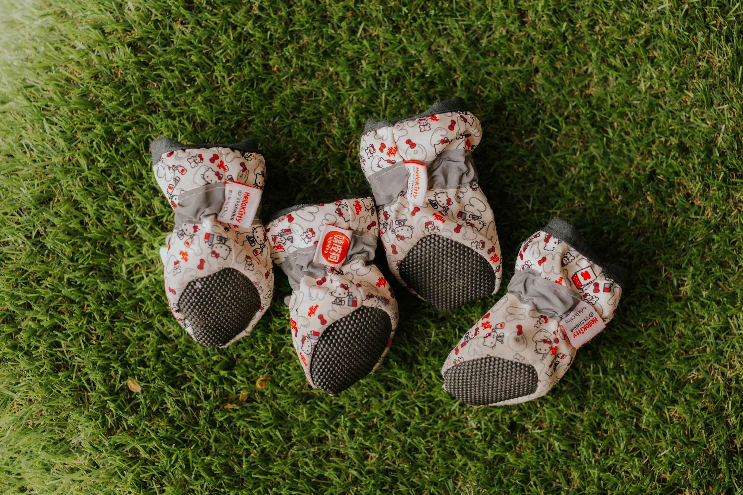 Kyra and Bailey-14.jpg