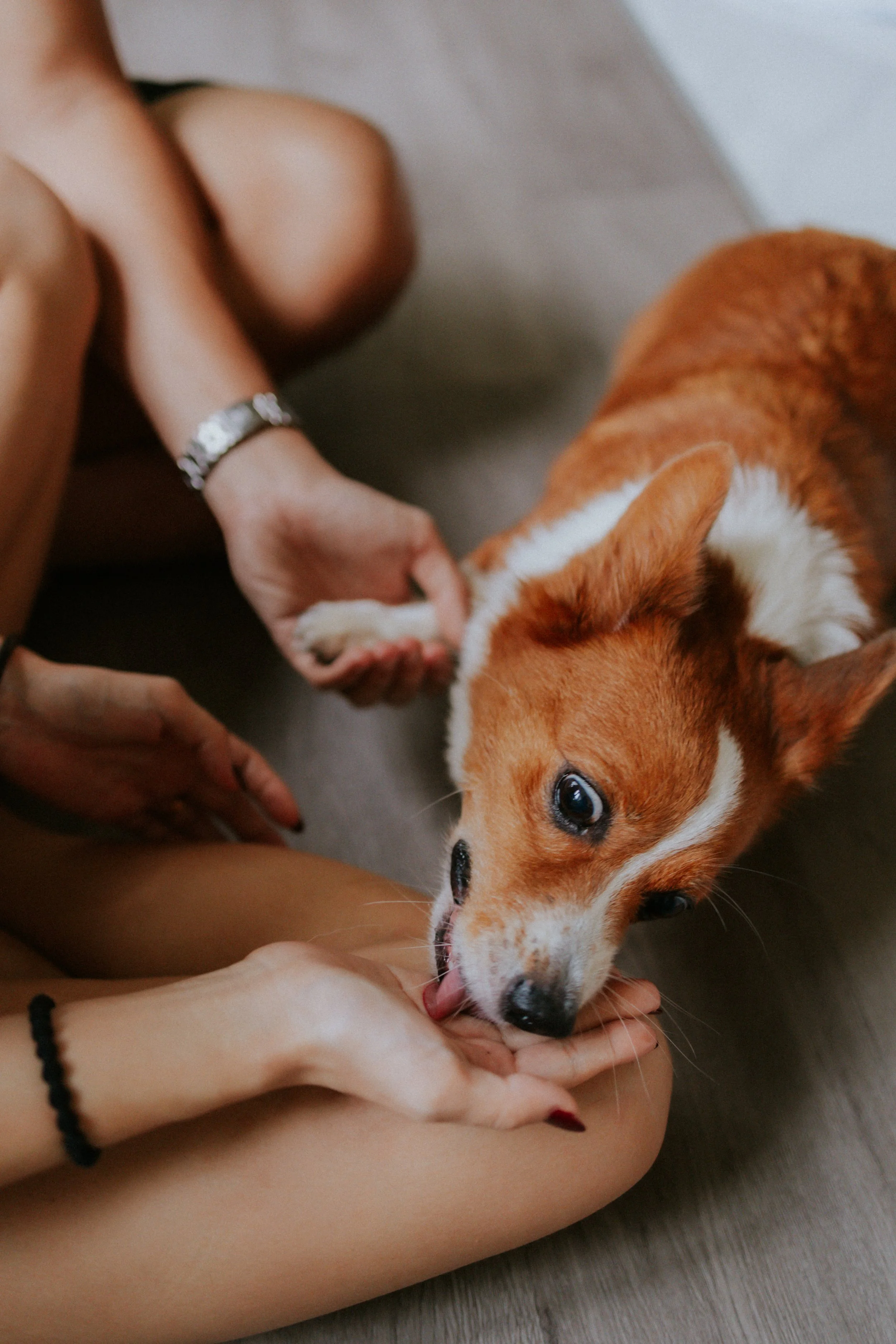 Vivi, Justman & Oli-49.jpg