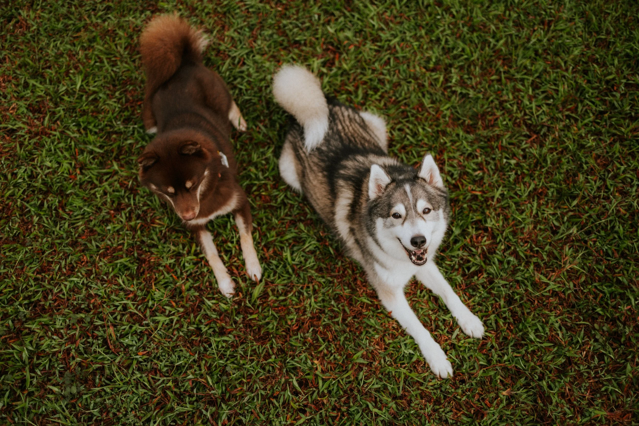 Adriel, Hazel, Kobe, Kygo-9.jpg