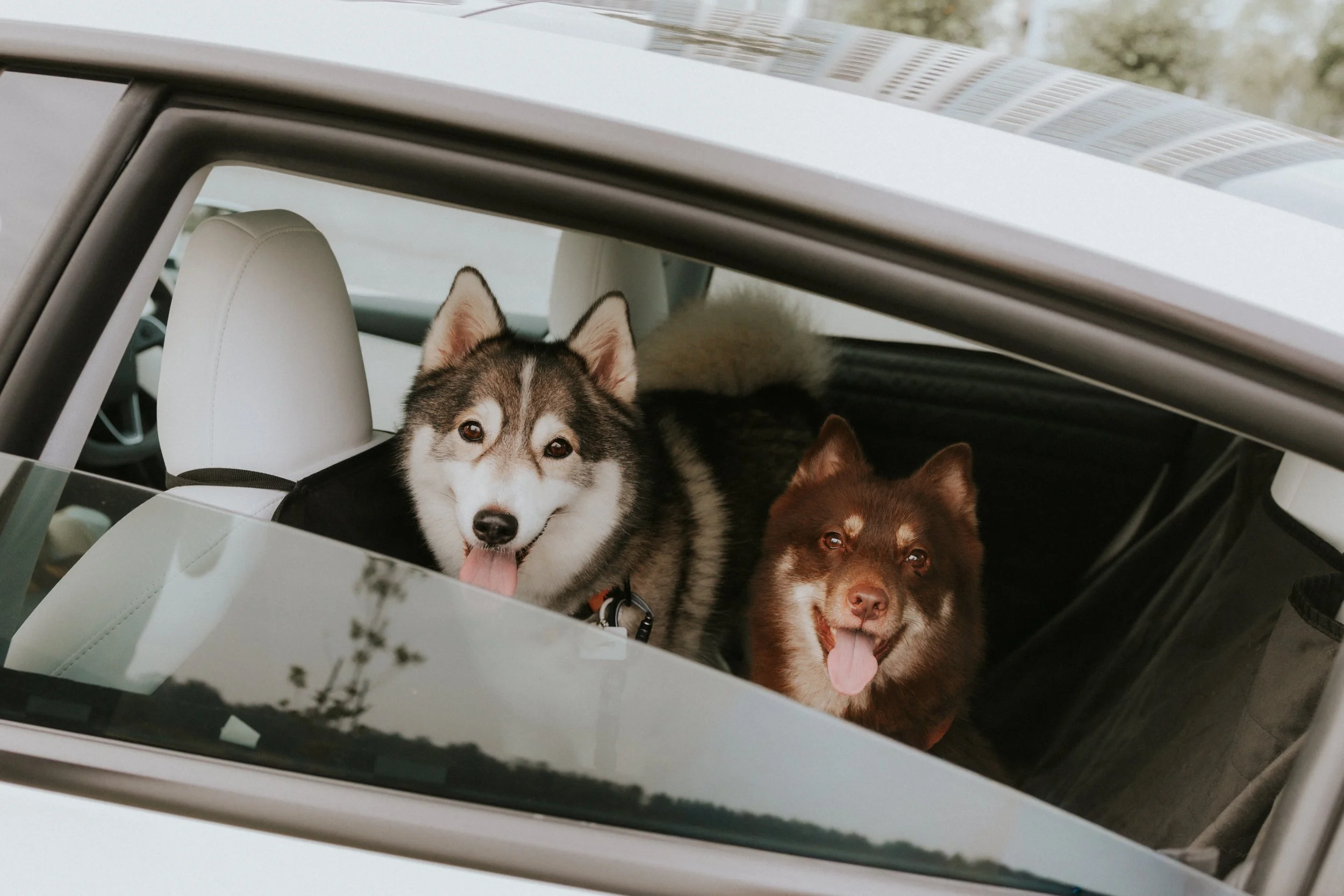 Adriel, Hazel, Kobe, Kygo-46.jpg