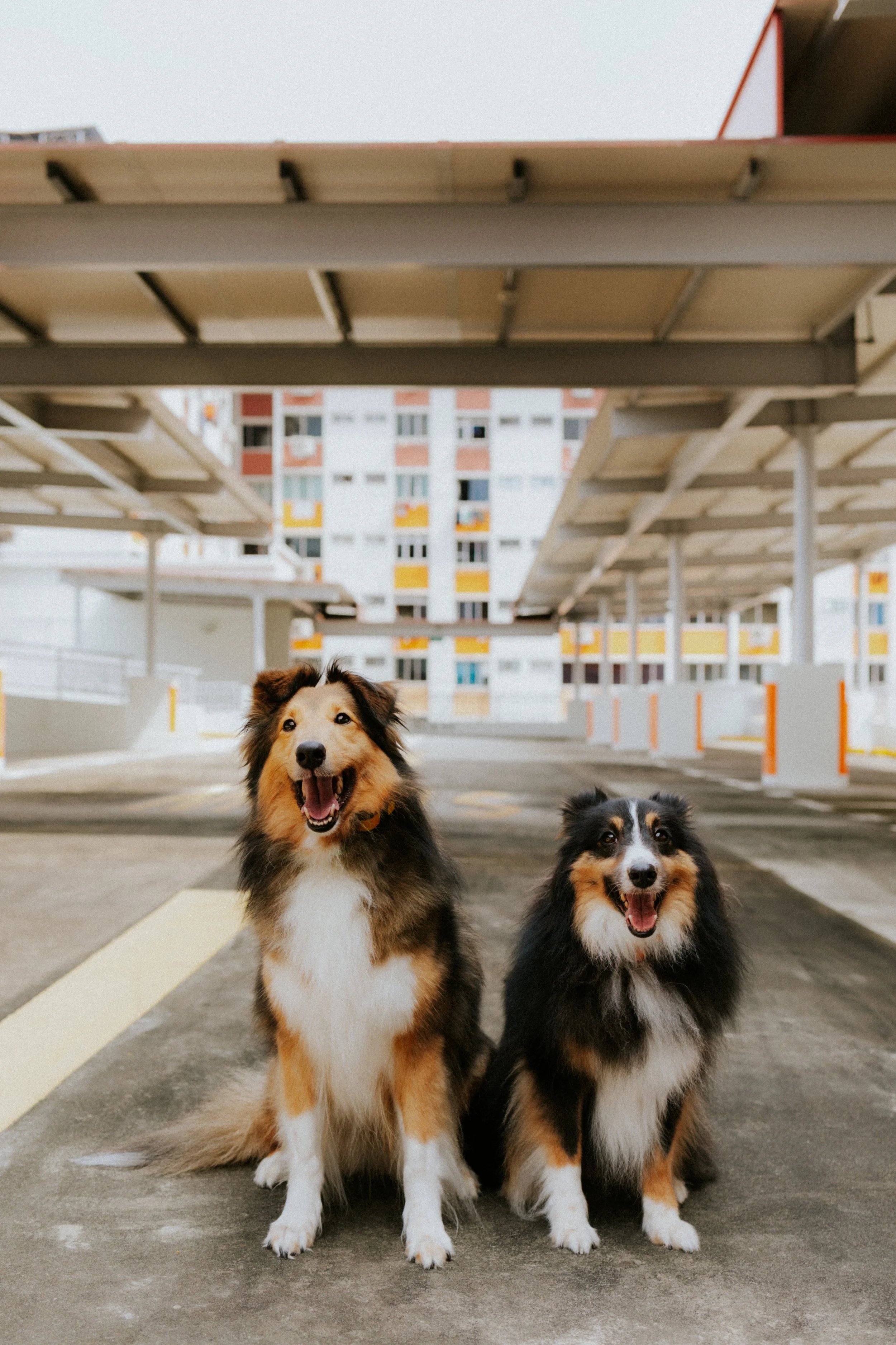 Joven, Jiayu, Hapsie, Hallie-54.jpg