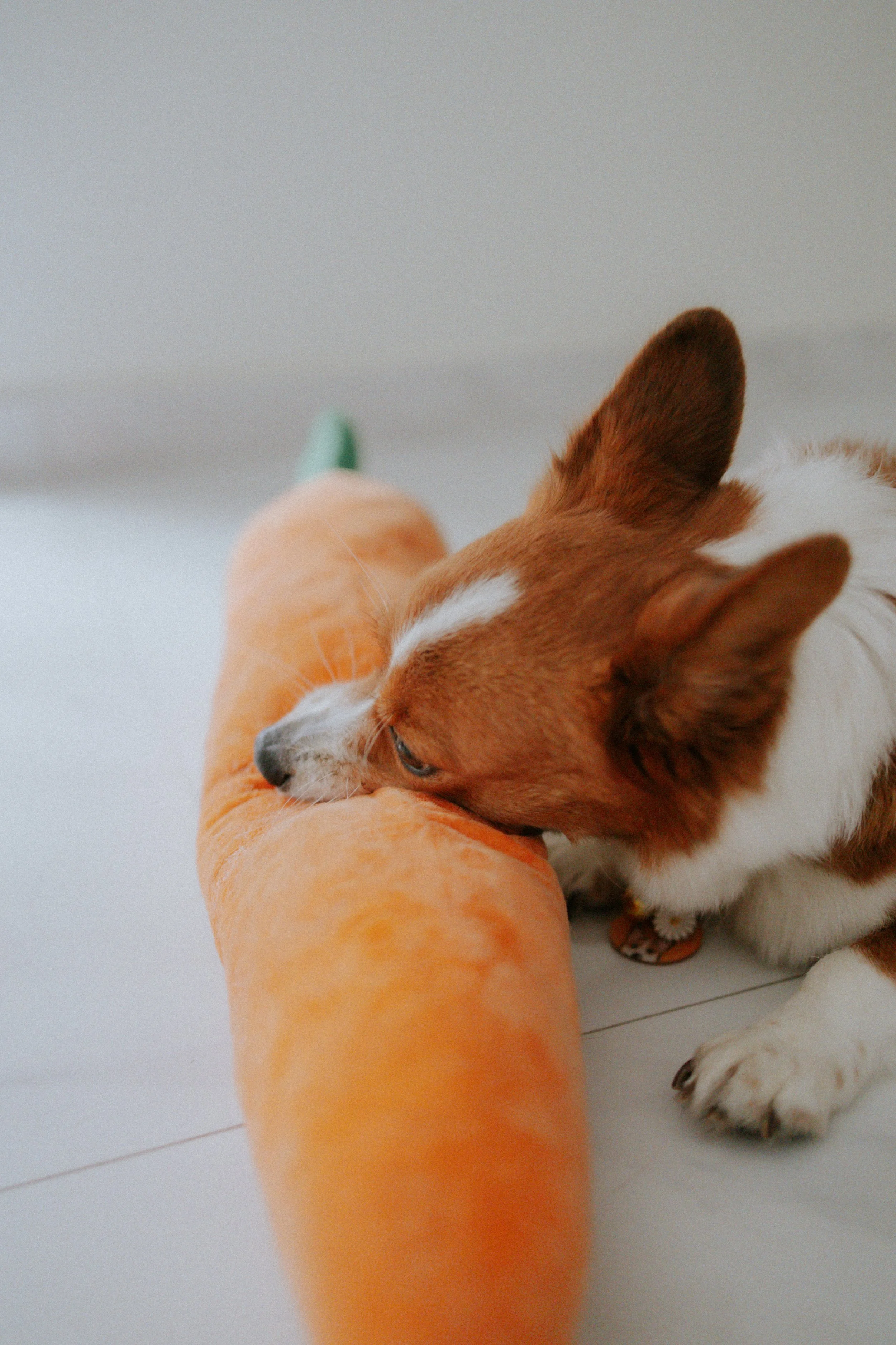 Vivi, Justman & Oli-14.jpg