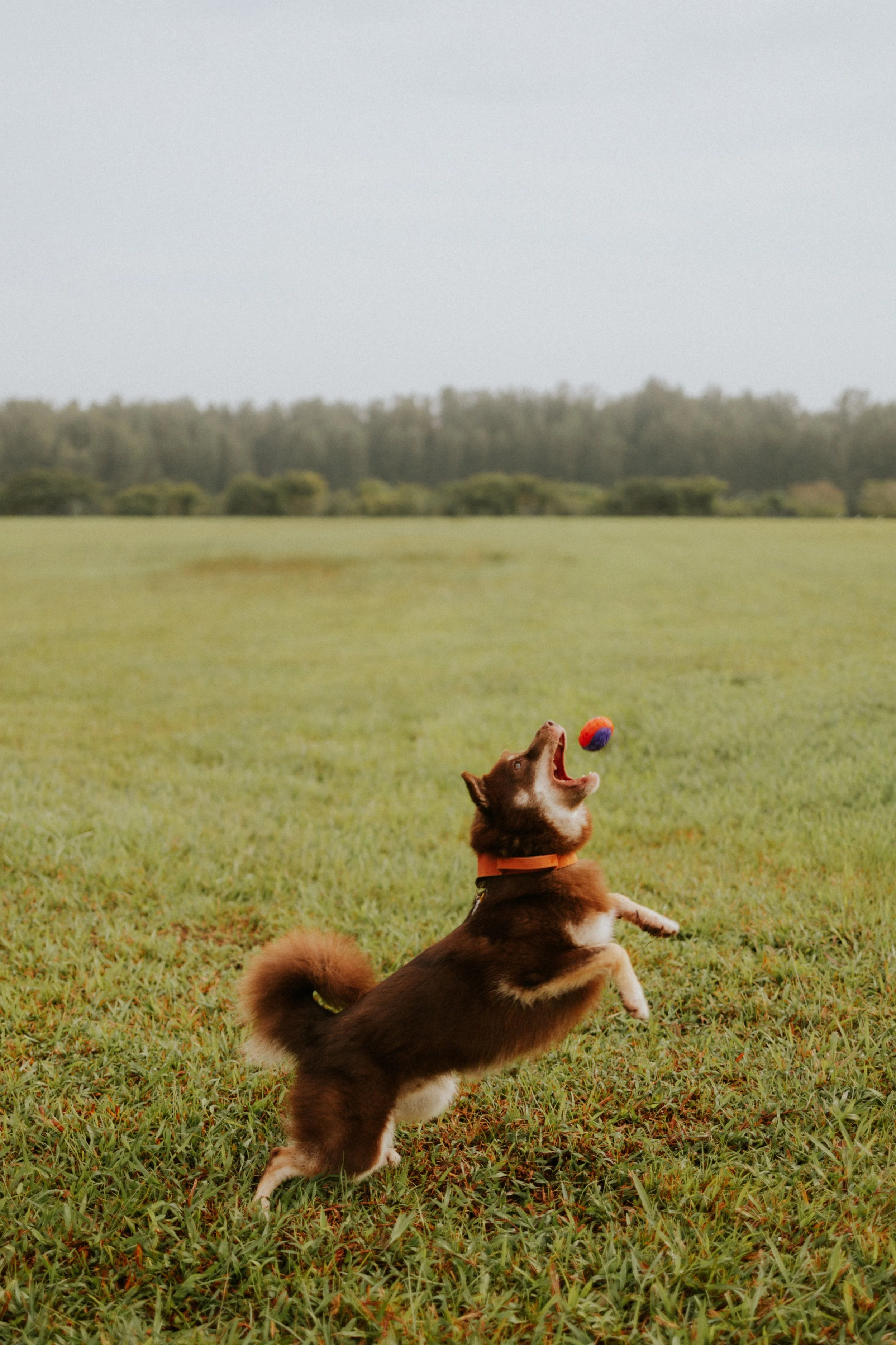 Adriel, Hazel, Kobe, Kygo-32.jpg