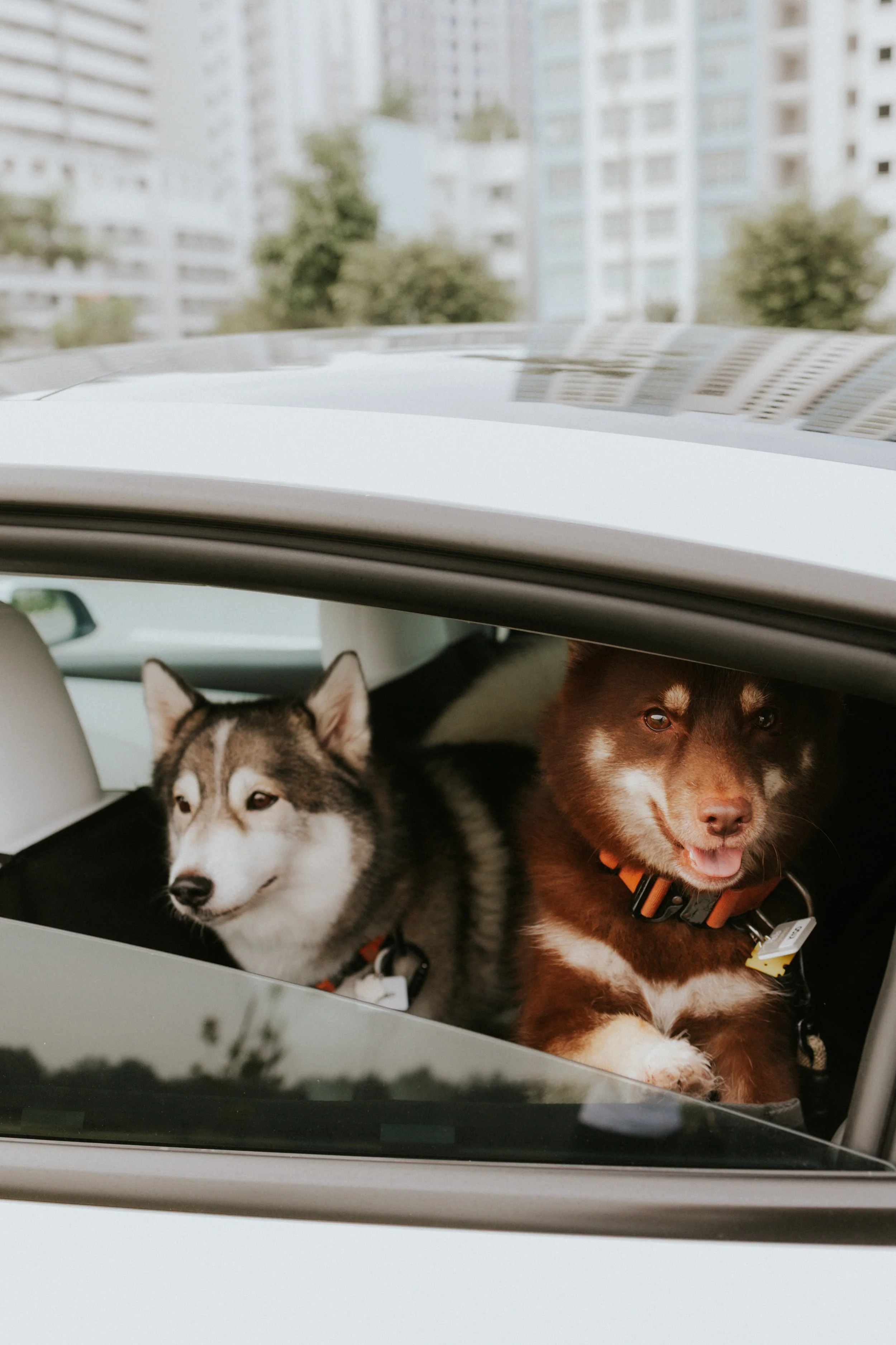 Adriel, Hazel, Kobe, Kygo-48.jpg