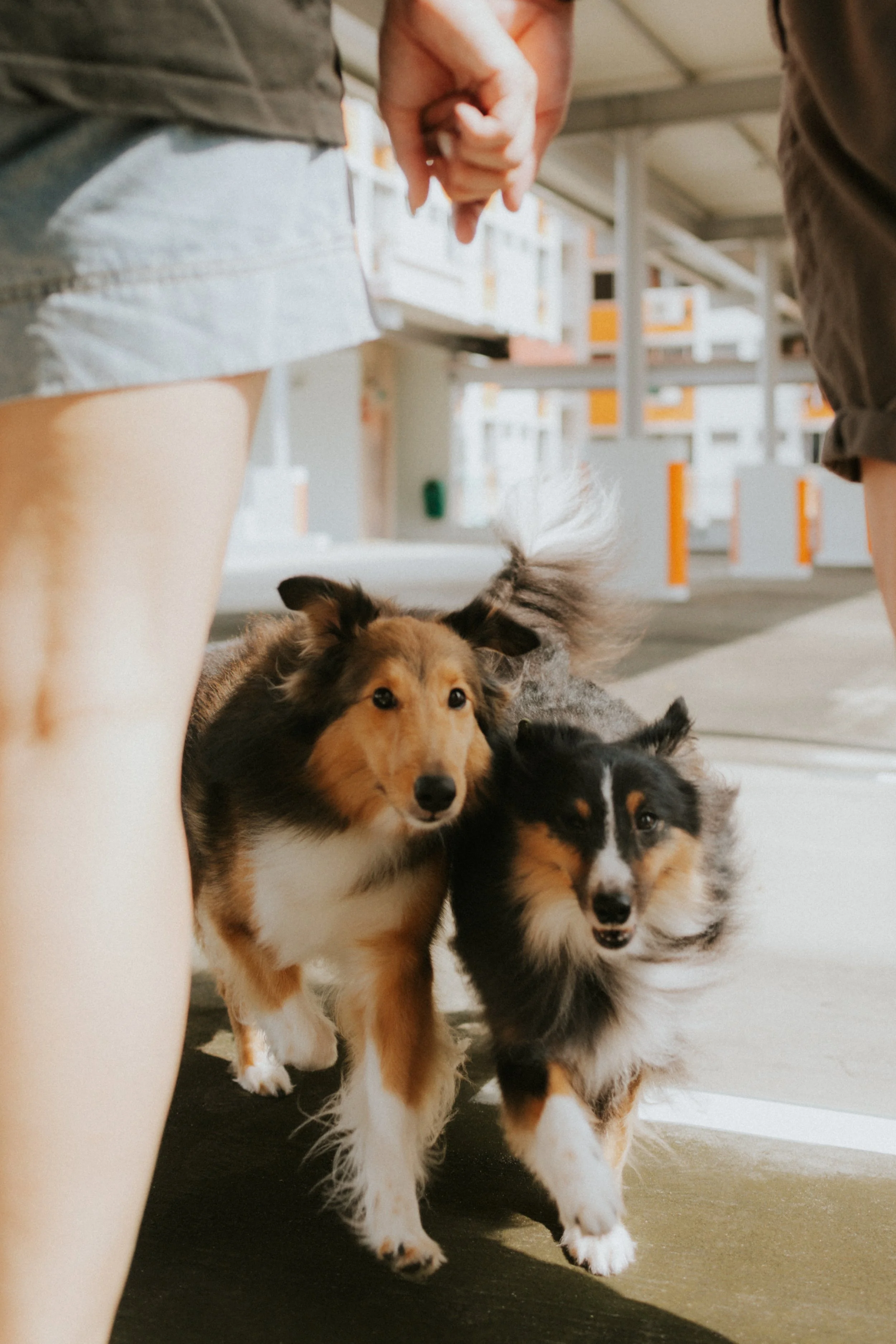 Joven, Jiayu, Hapsie, Hallie-13.jpg
