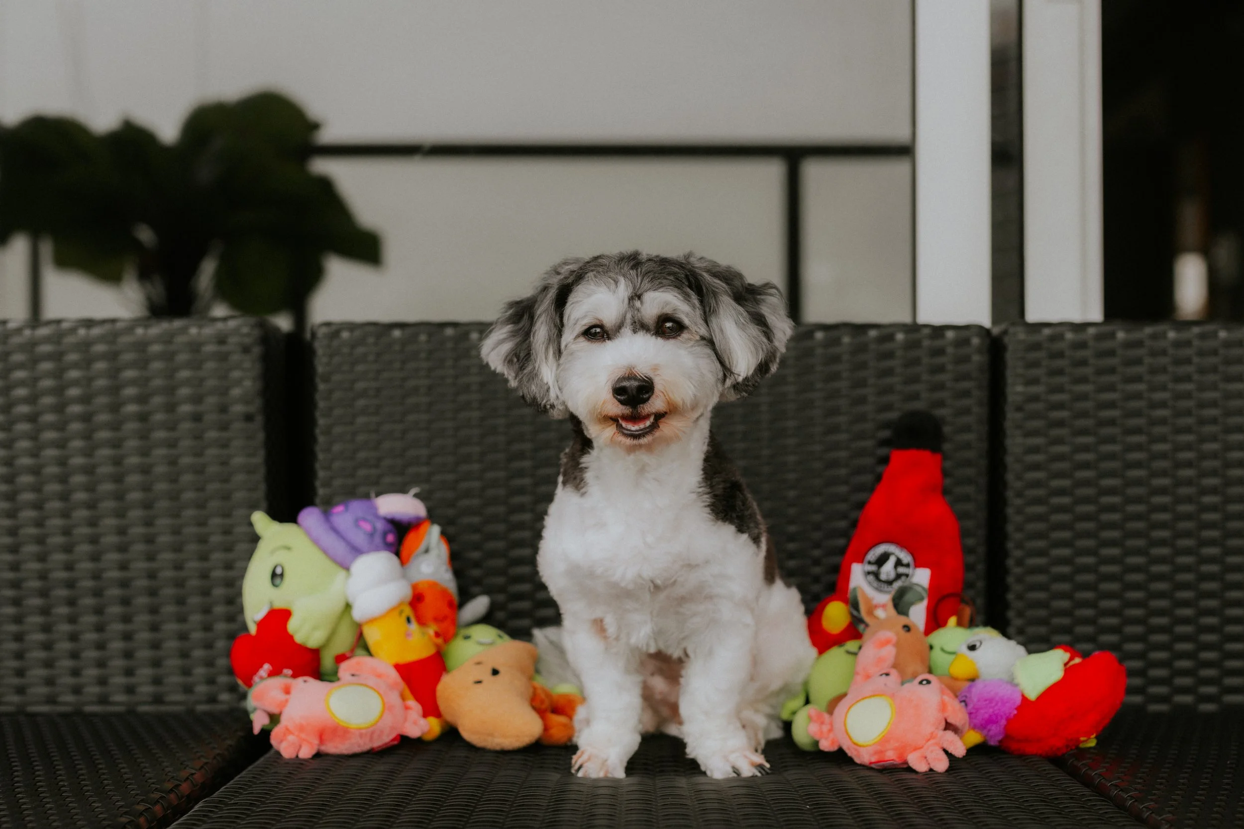 Kyra and Bailey-11.jpg