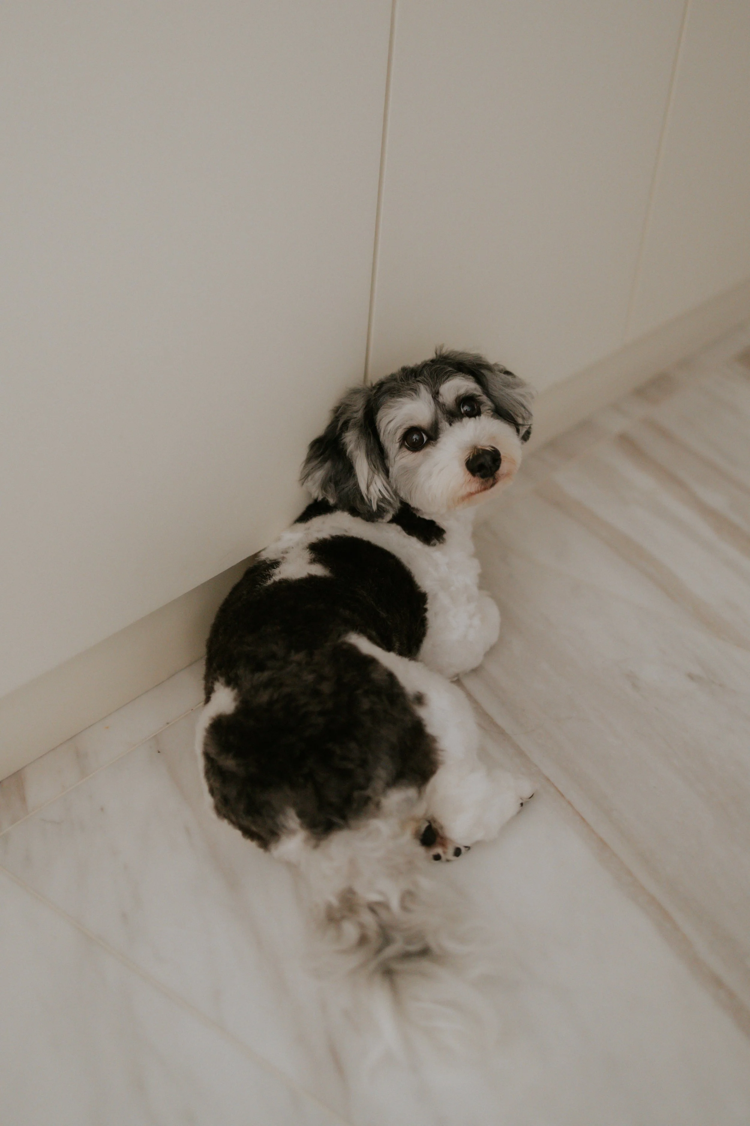 Kyra and Bailey-20.jpg