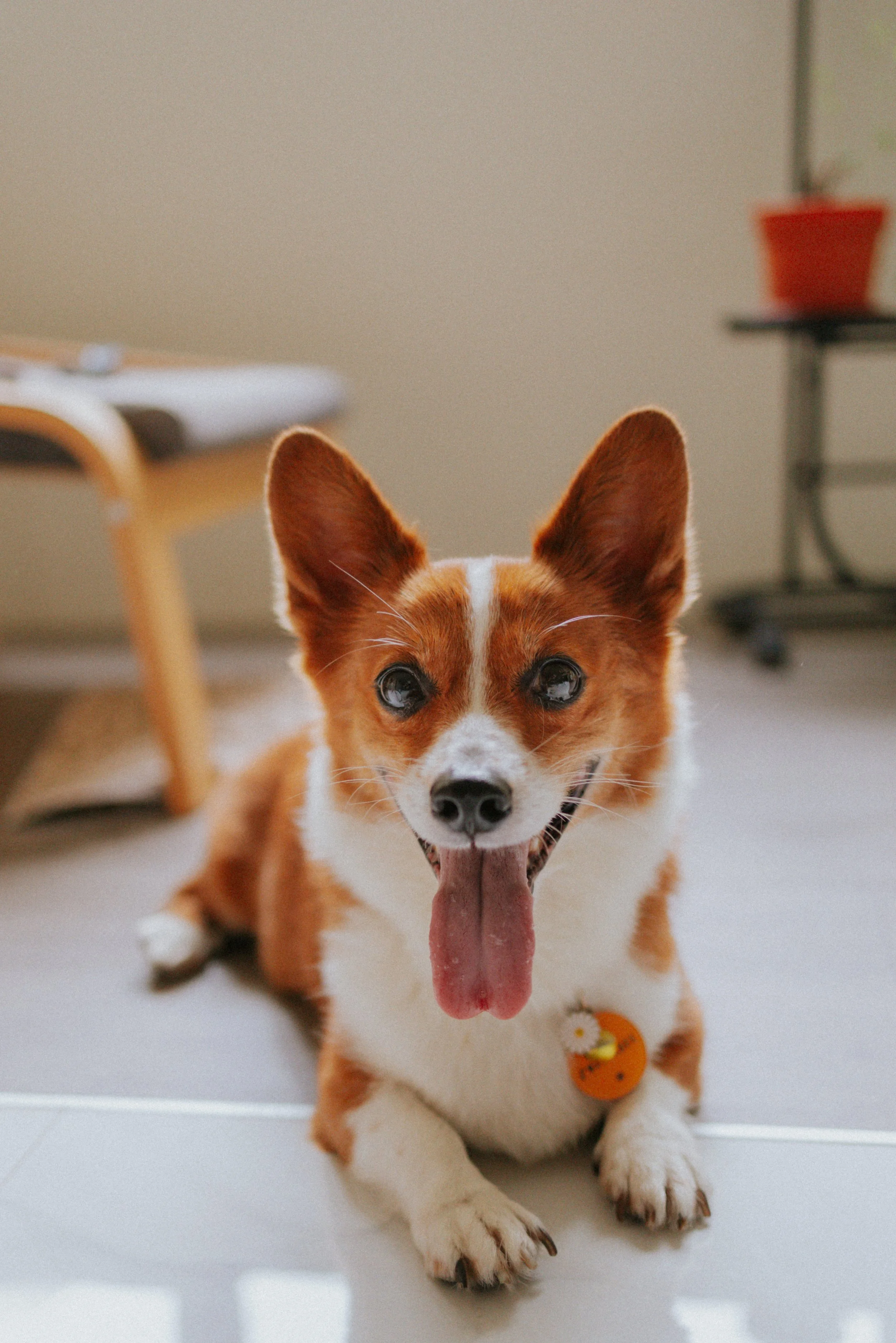 Vivi, Justman & Oli-18.jpg