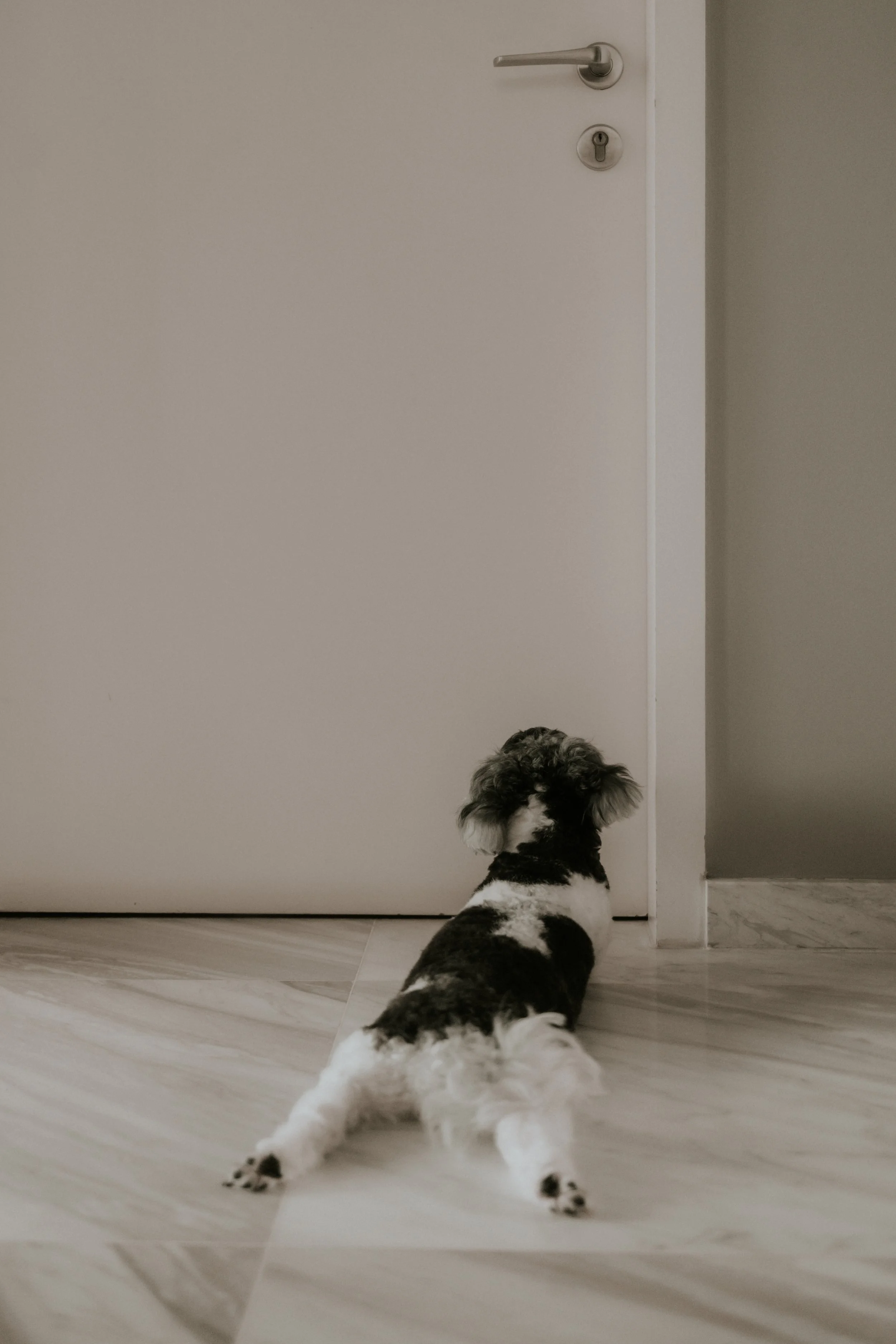 Kyra and Bailey-22.jpg