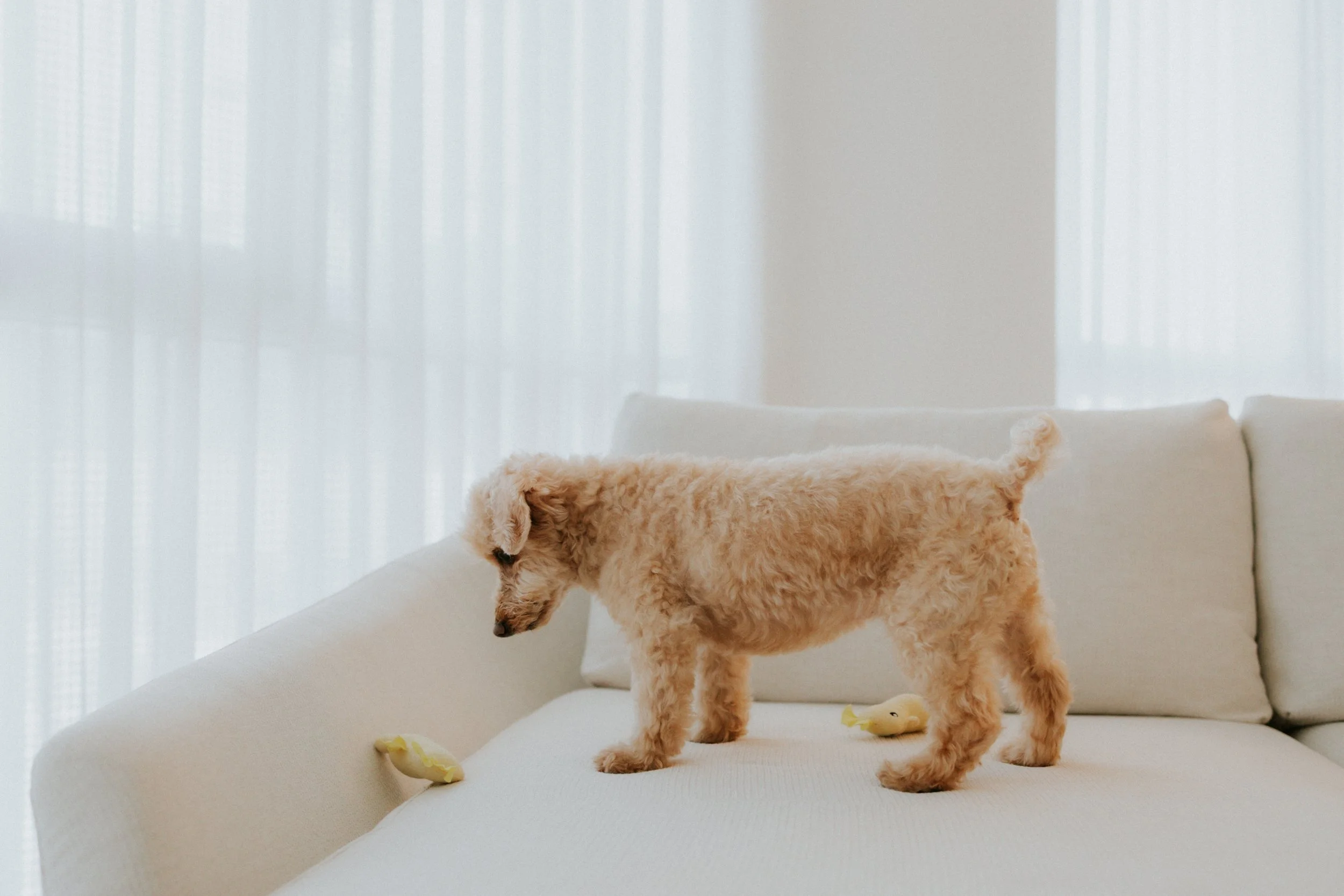 Robyn and Family-1.jpg