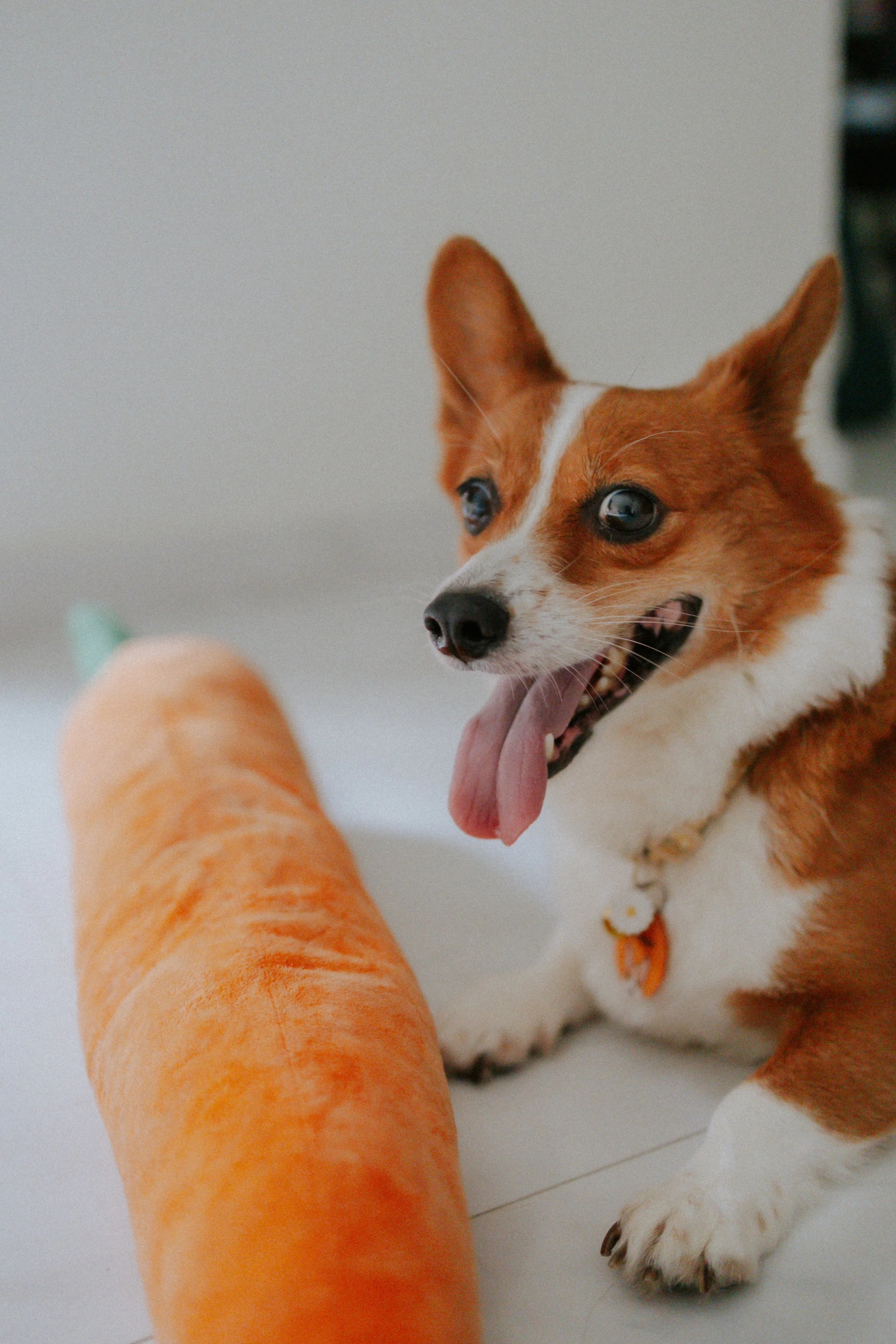 Vivi, Justman & Oli-15.jpg