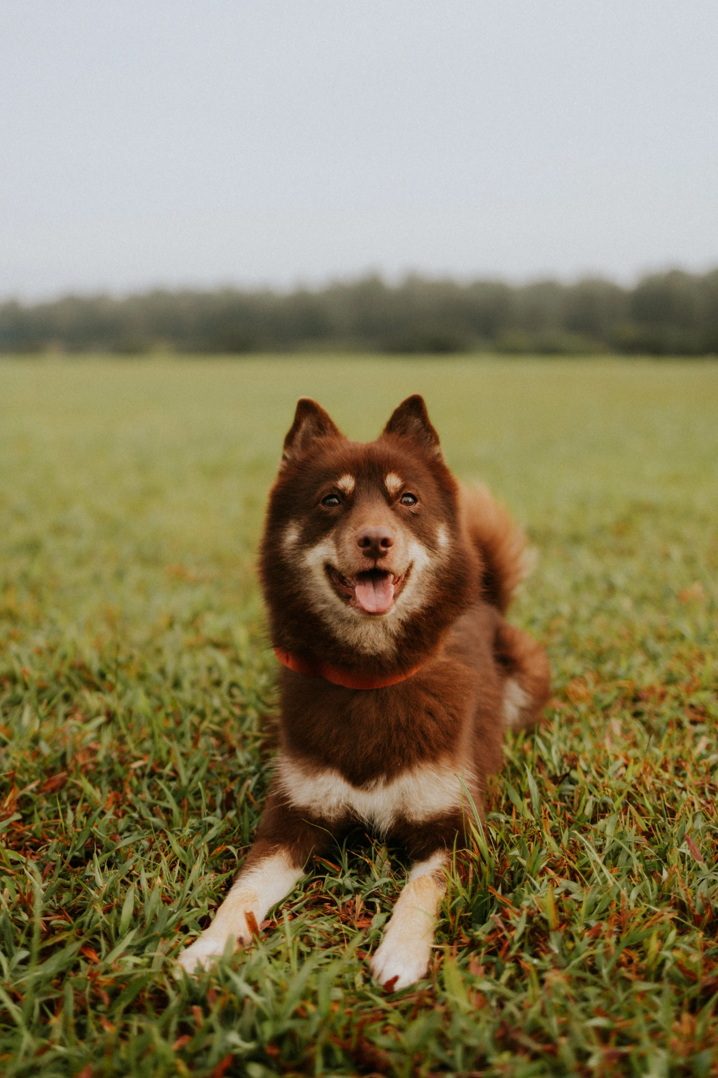 Adriel, Hazel, Kobe, Kygo-28.jpg