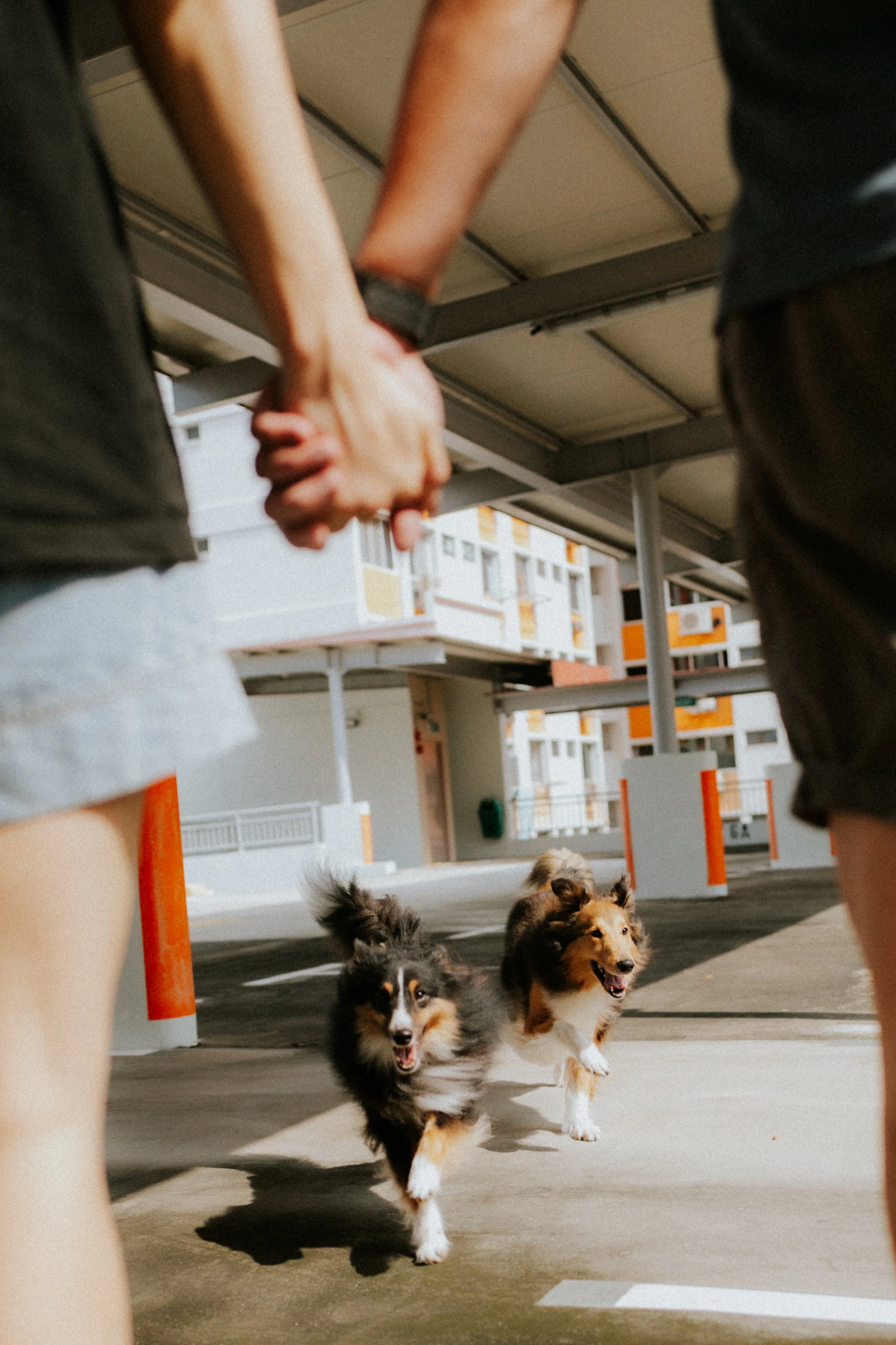 Joven, Jiayu, Hapsie, Hallie-15.jpg