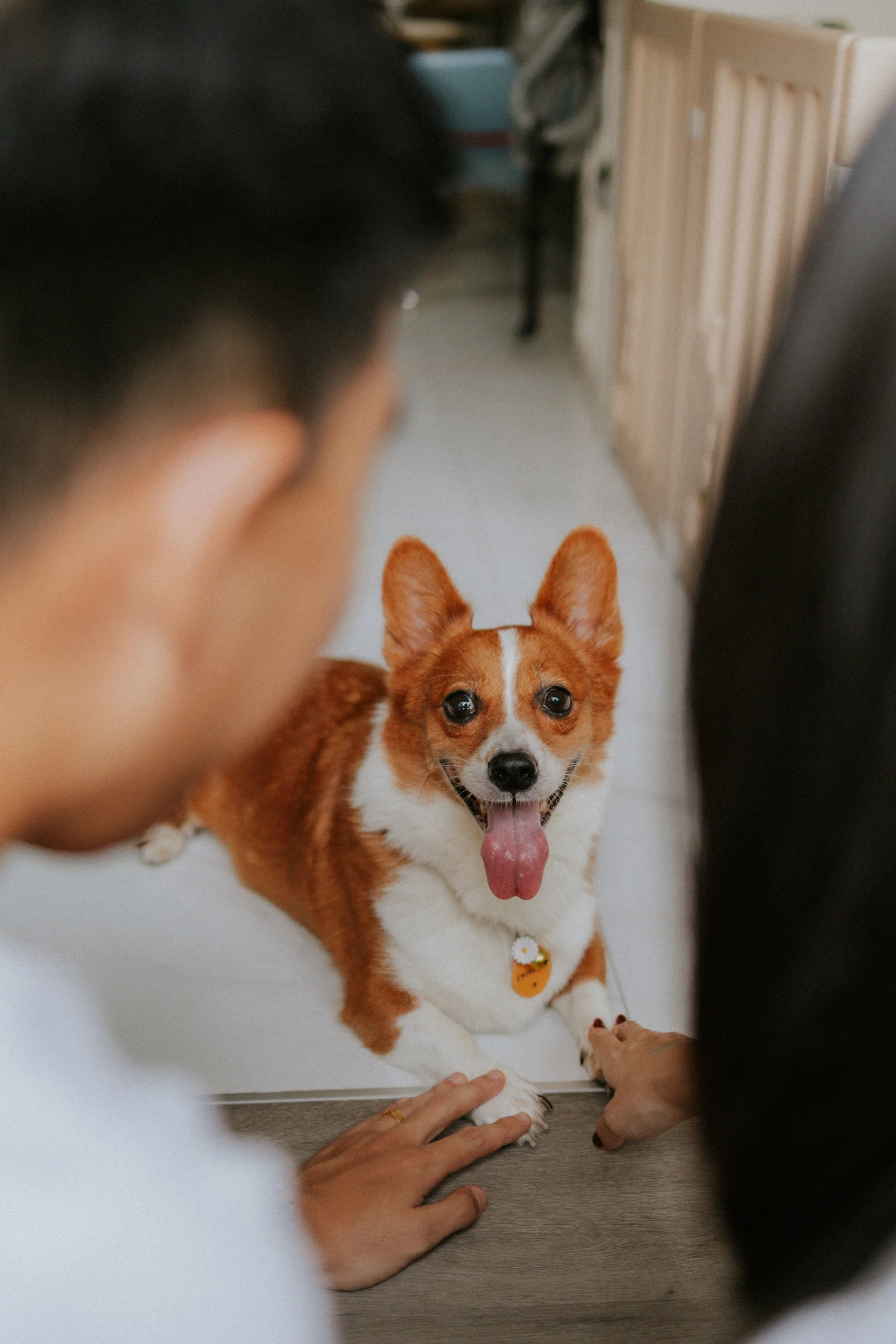 Vivi, Justman & Oli-51.jpg