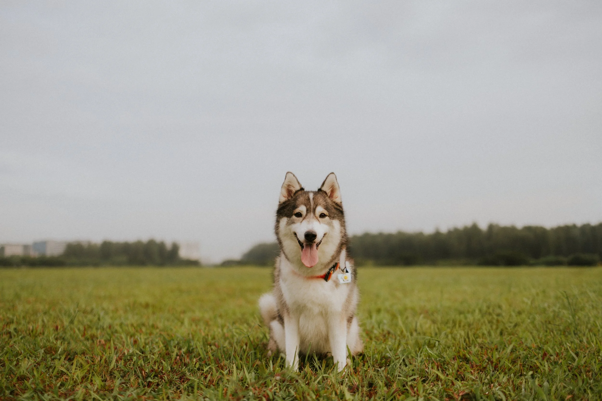 Adriel, Hazel, Kobe, Kygo-25.jpg