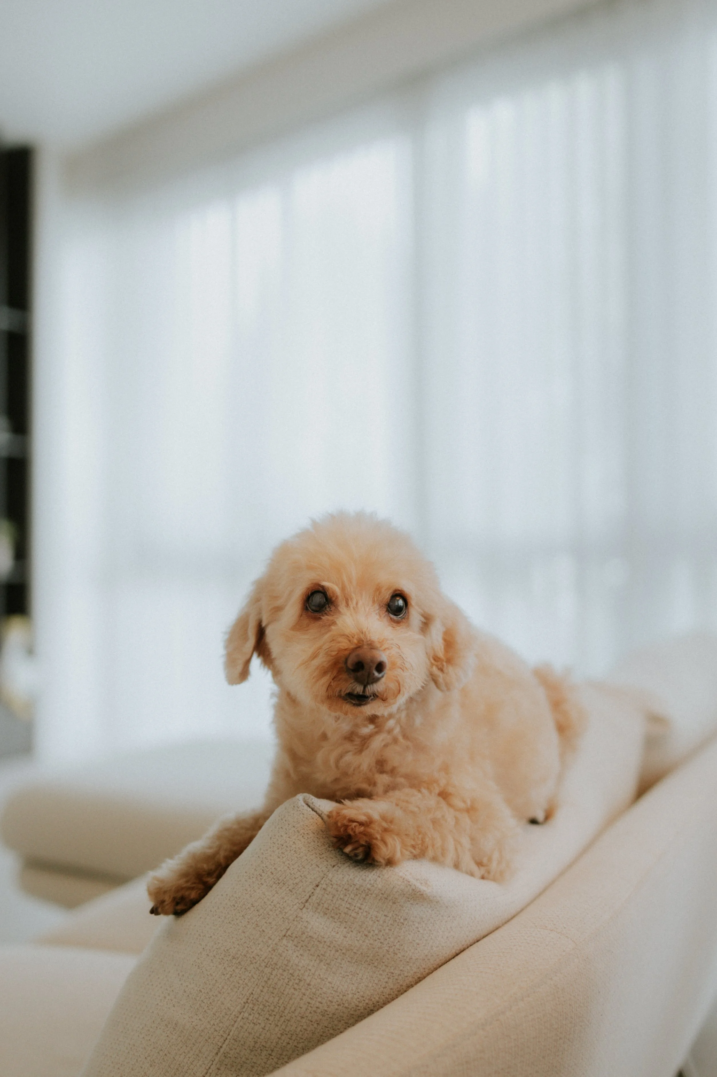 Robyn and Family-14.jpg