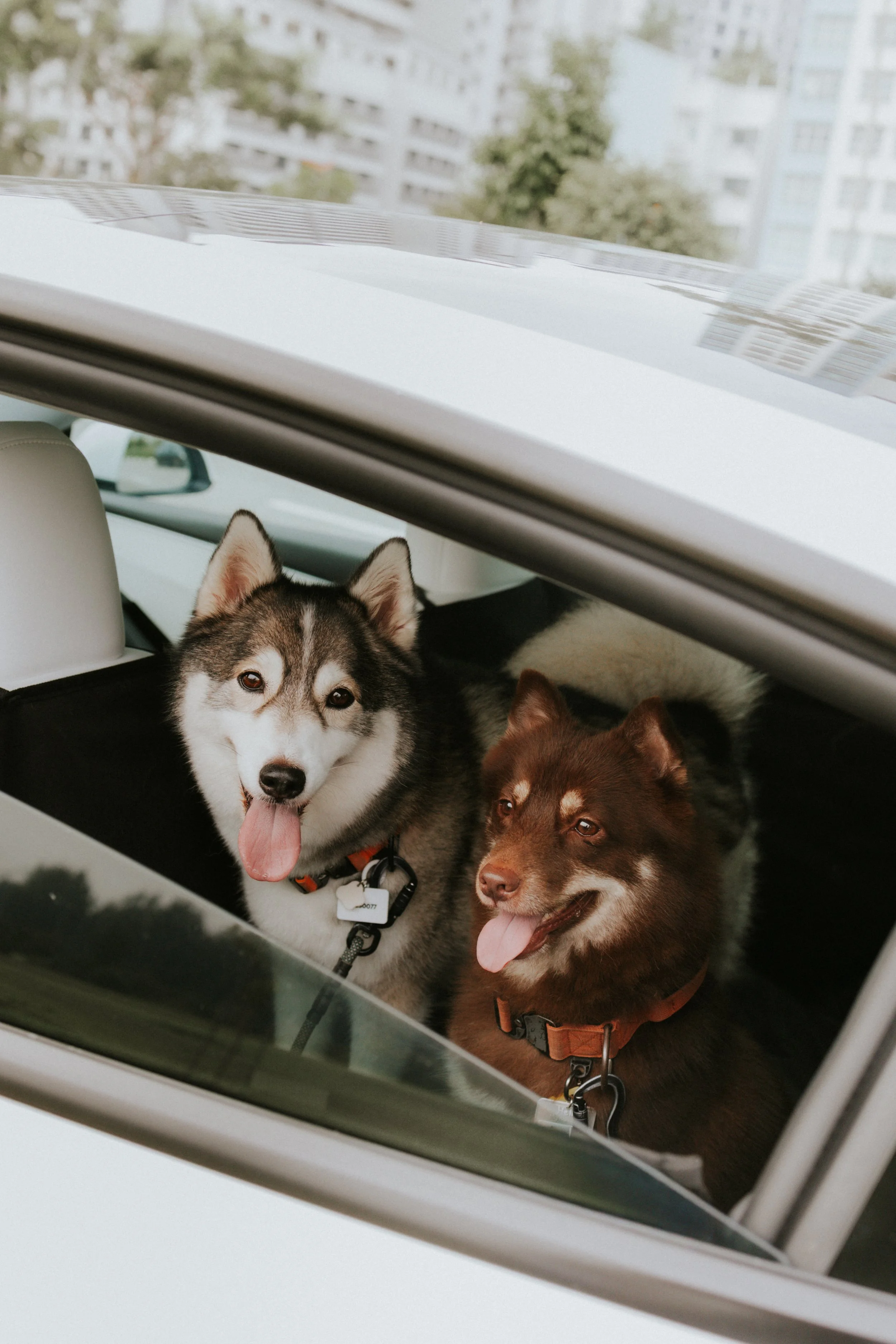 Adriel, Hazel, Kobe, Kygo-47.jpg