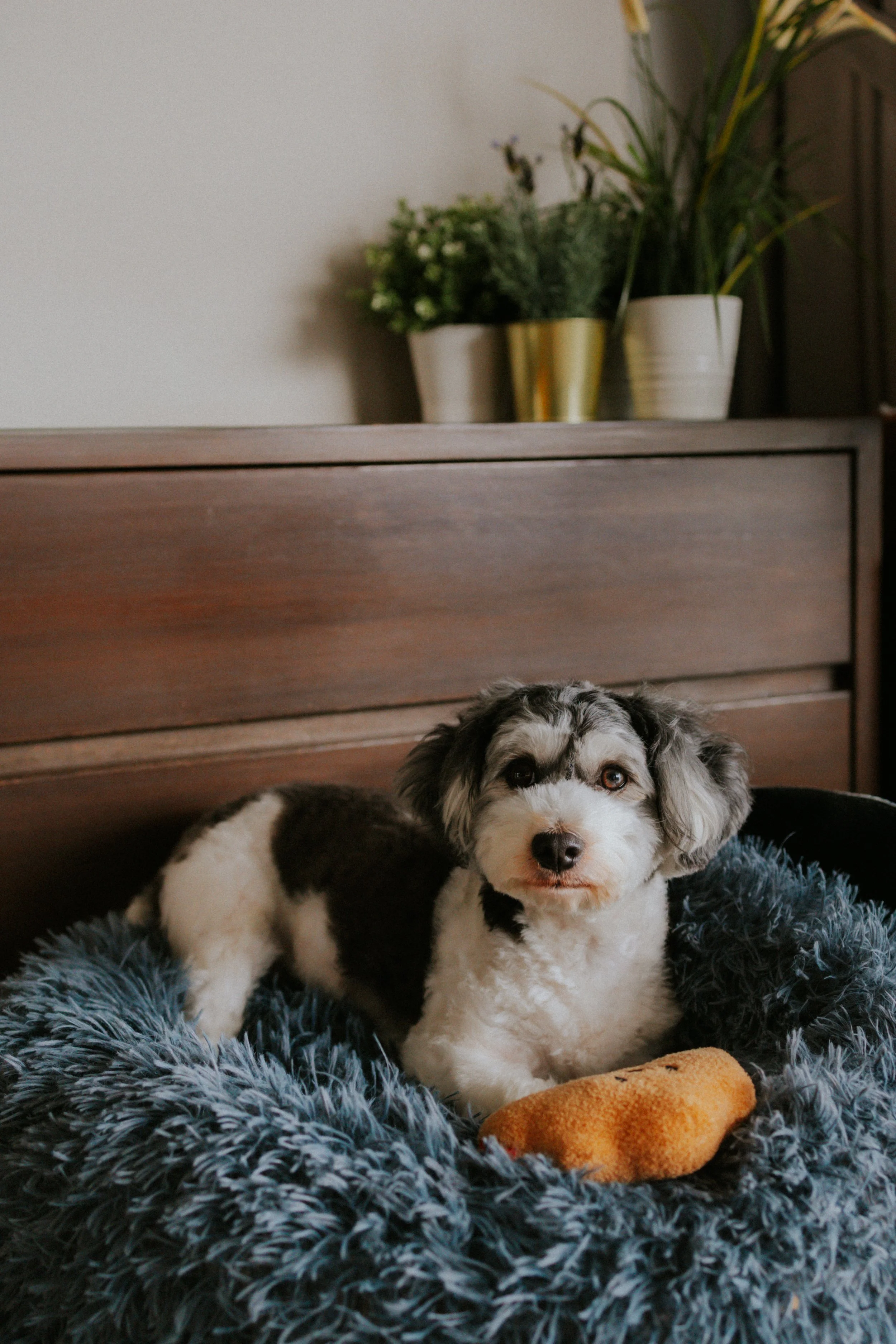 Kyra and Bailey-5.jpg