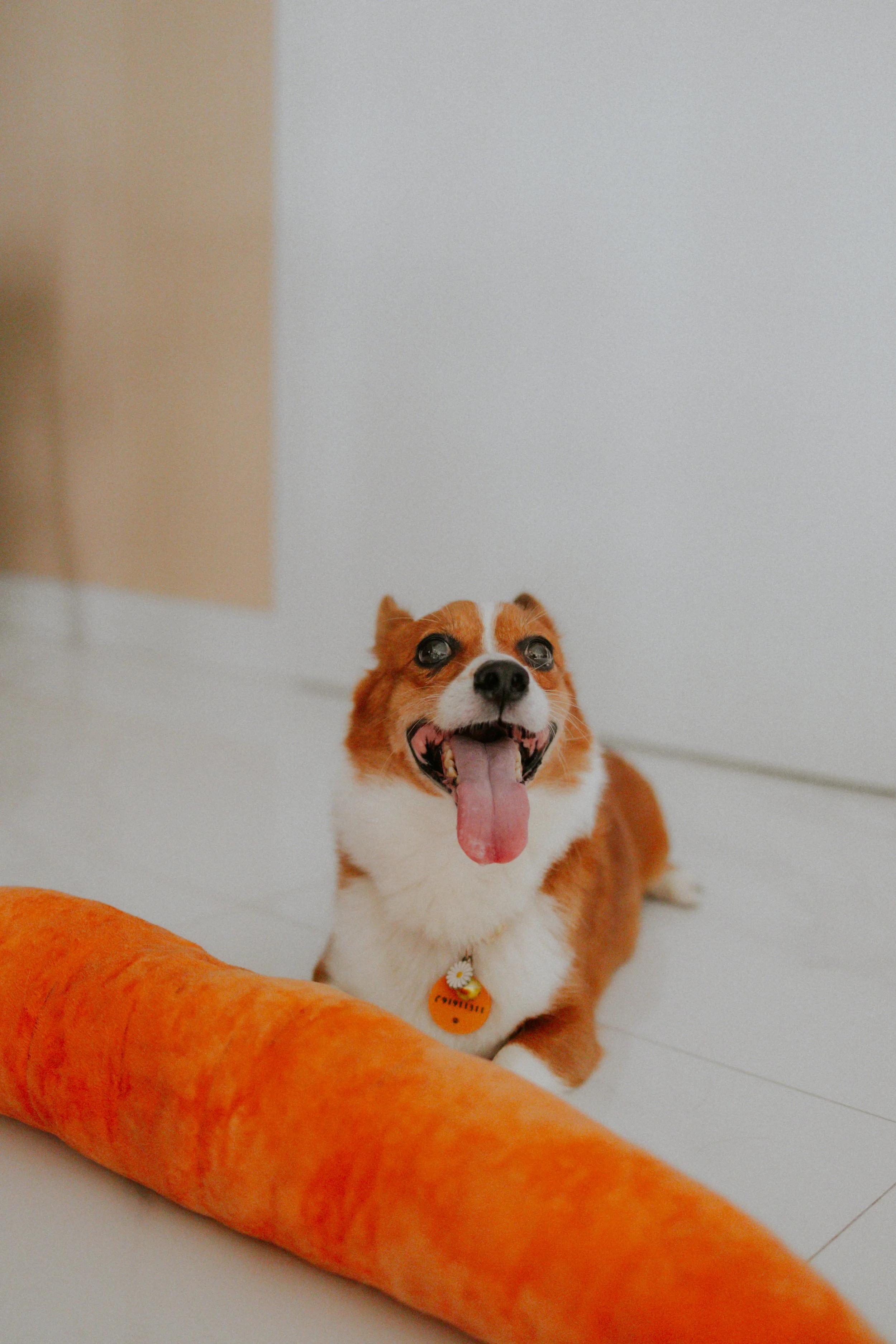 Vivi, Justman & Oli-26.jpg