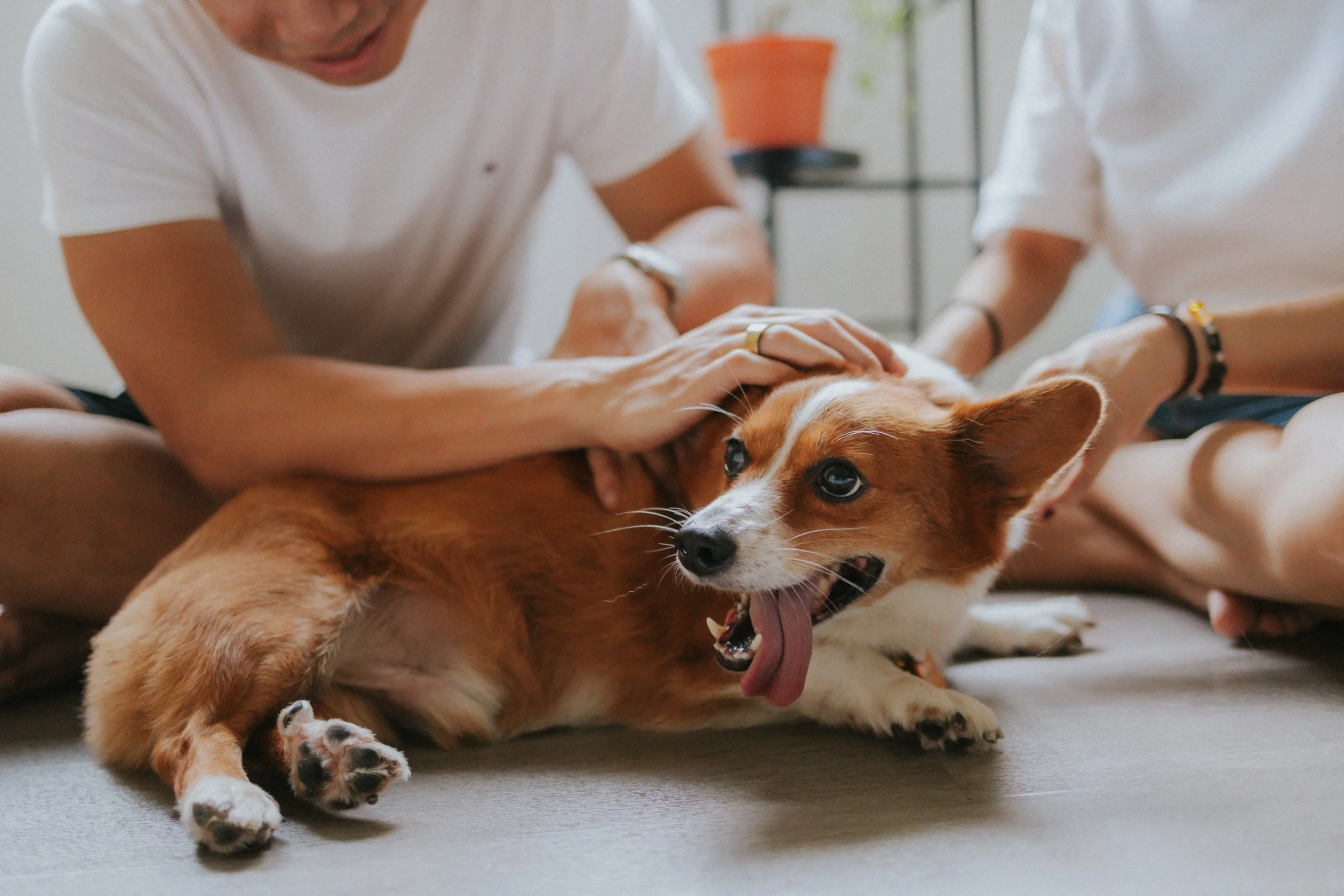 Vivi, Justman & Oli-38.jpg