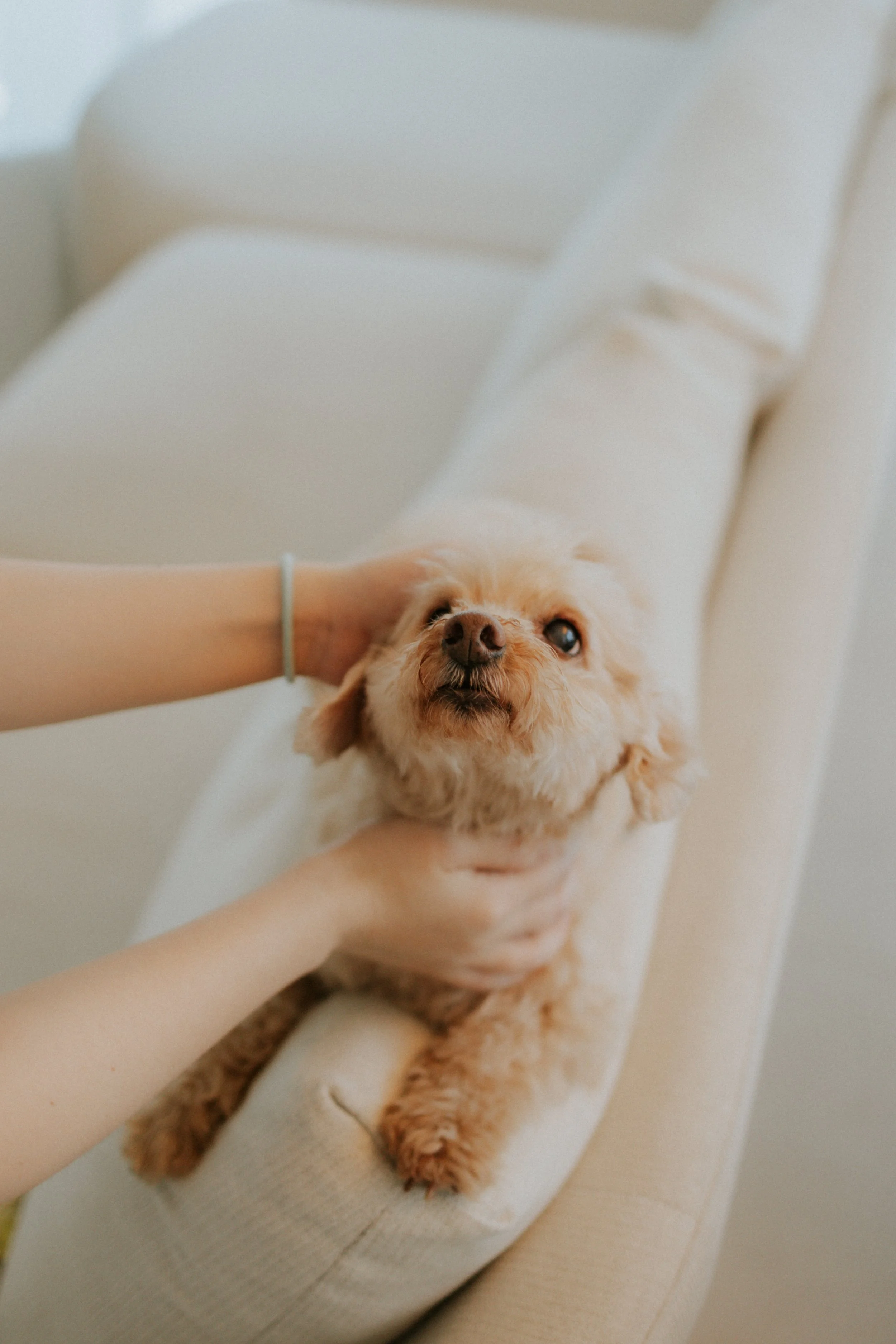 Robyn and Family-15.jpg