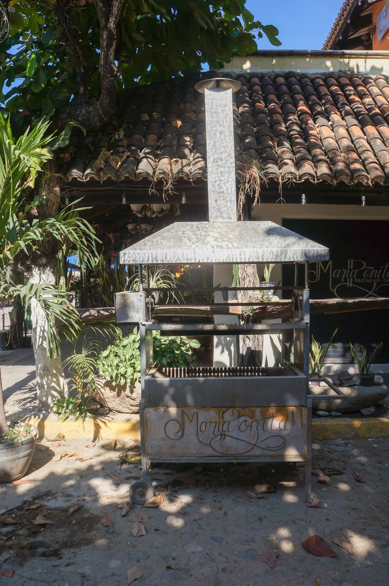 Caitlin_Thompson_Mexico_2025-20.jpg