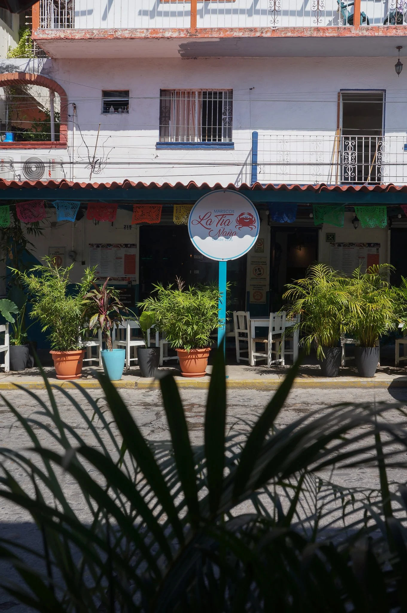 Caitlin_Thompson_Mexico_2025-04.jpg
