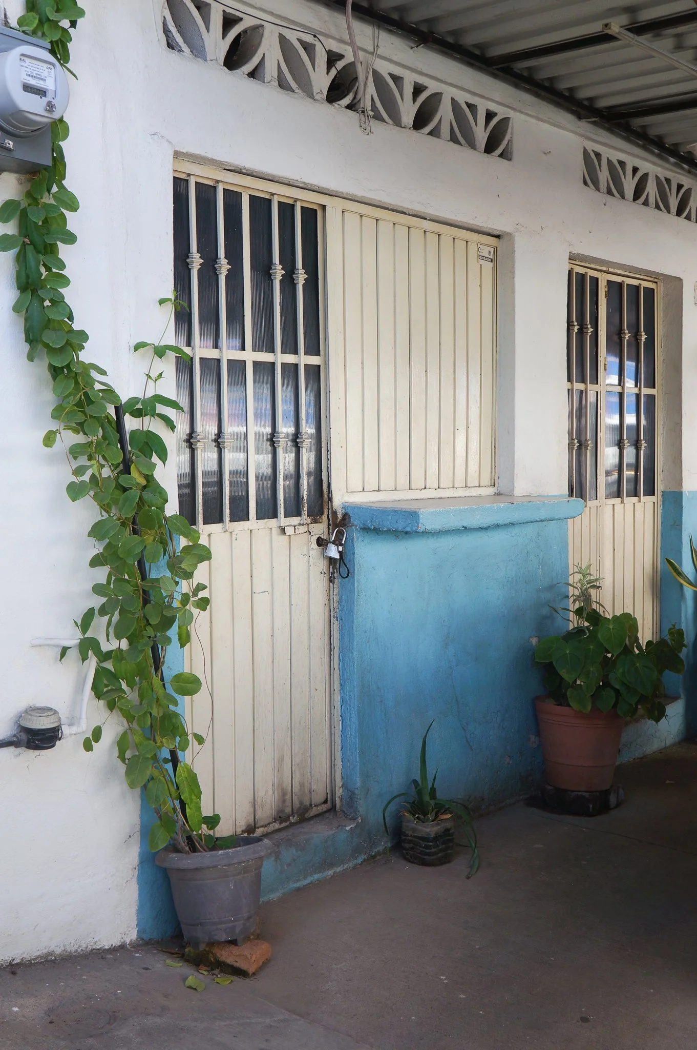 Caitlin_Thompson_Mexico_2025-05.jpg