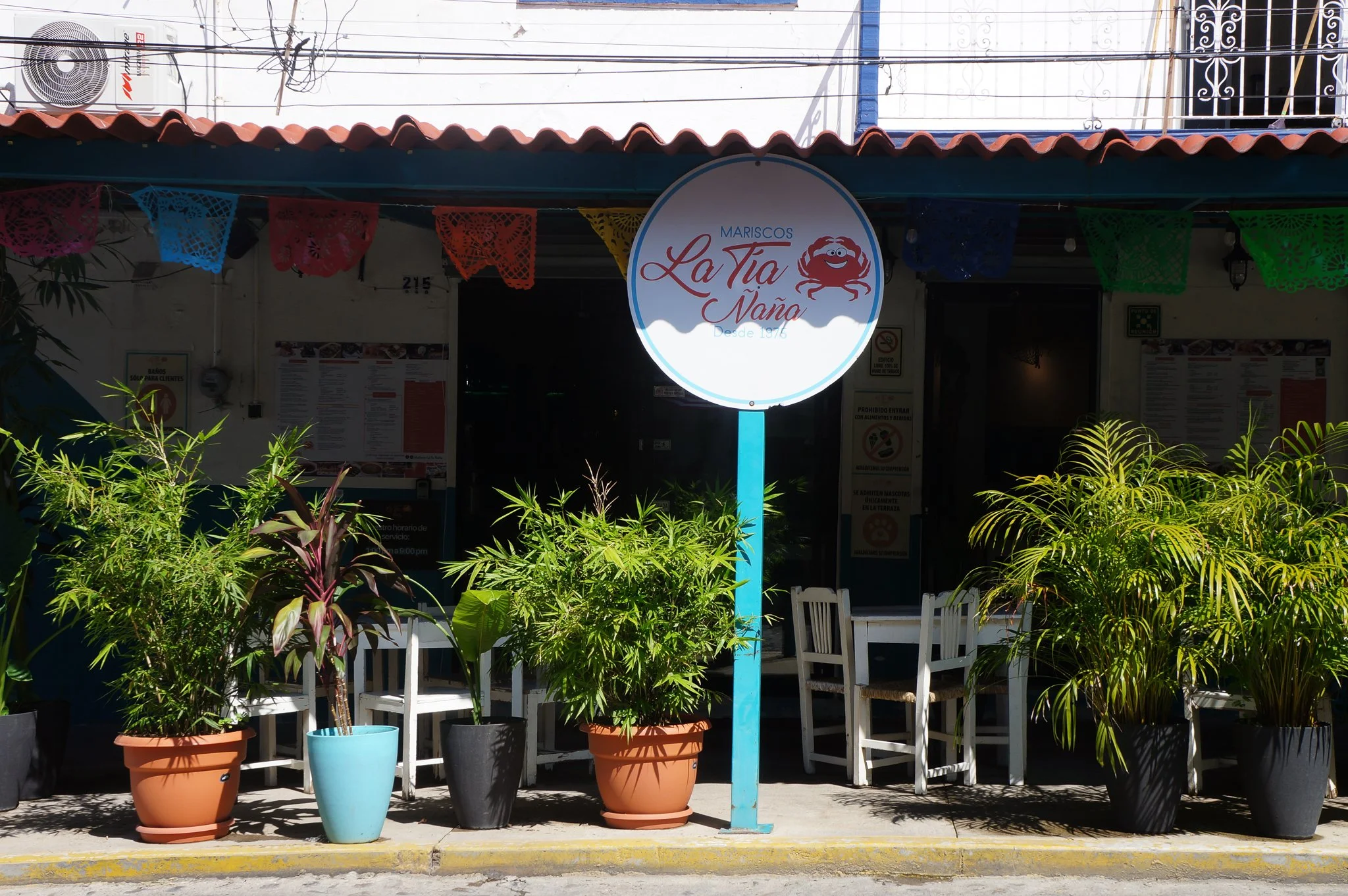 Caitlin_Thompson_Mexico_2025-06.jpg