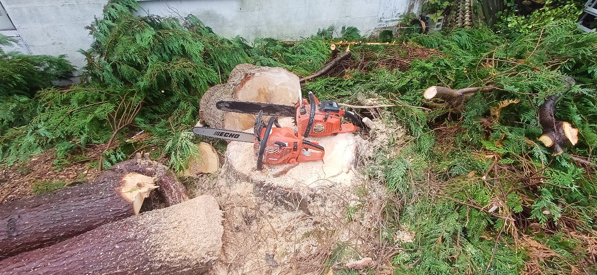 tronconneuse.jpg