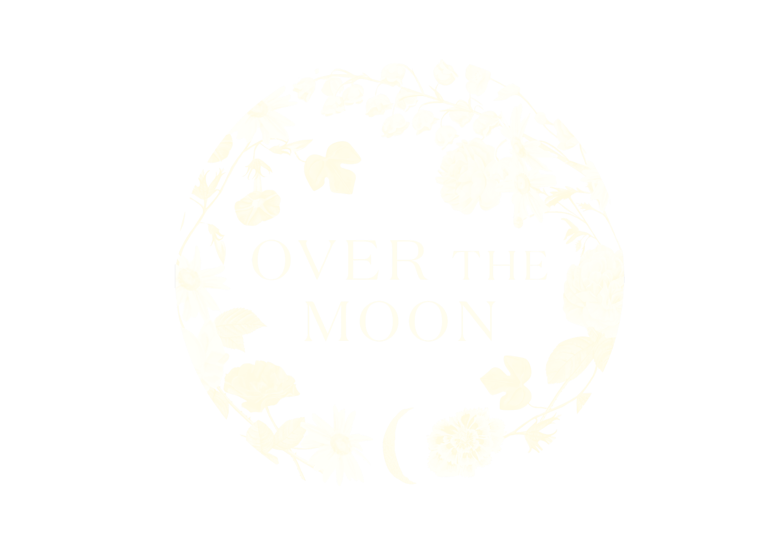 Charleston Travel Guide | Over The Moon