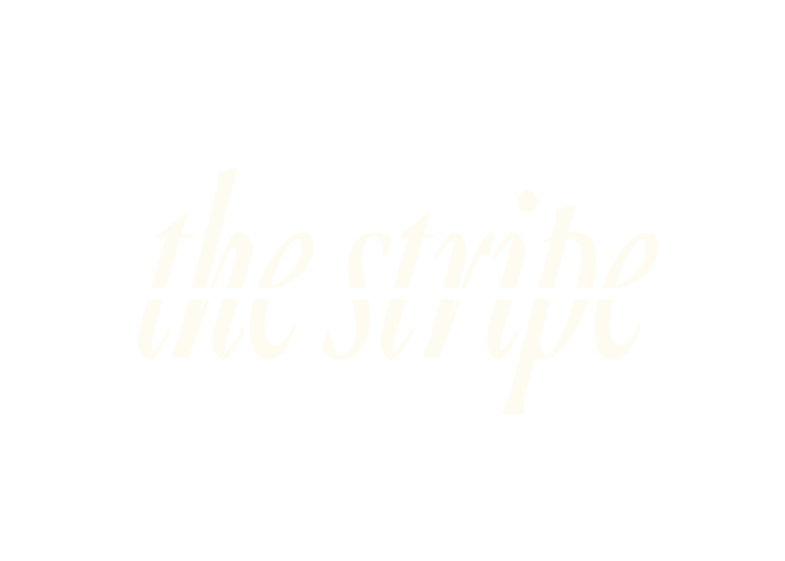 Charleston City Guide | The Stripe