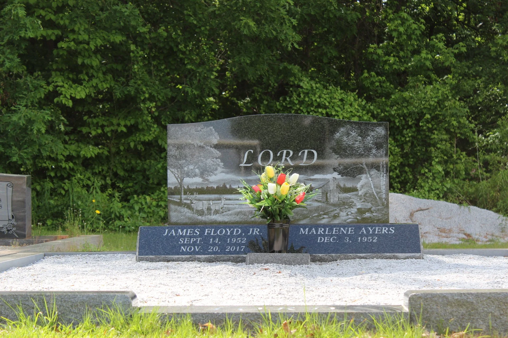 IMG_8096.JPG
