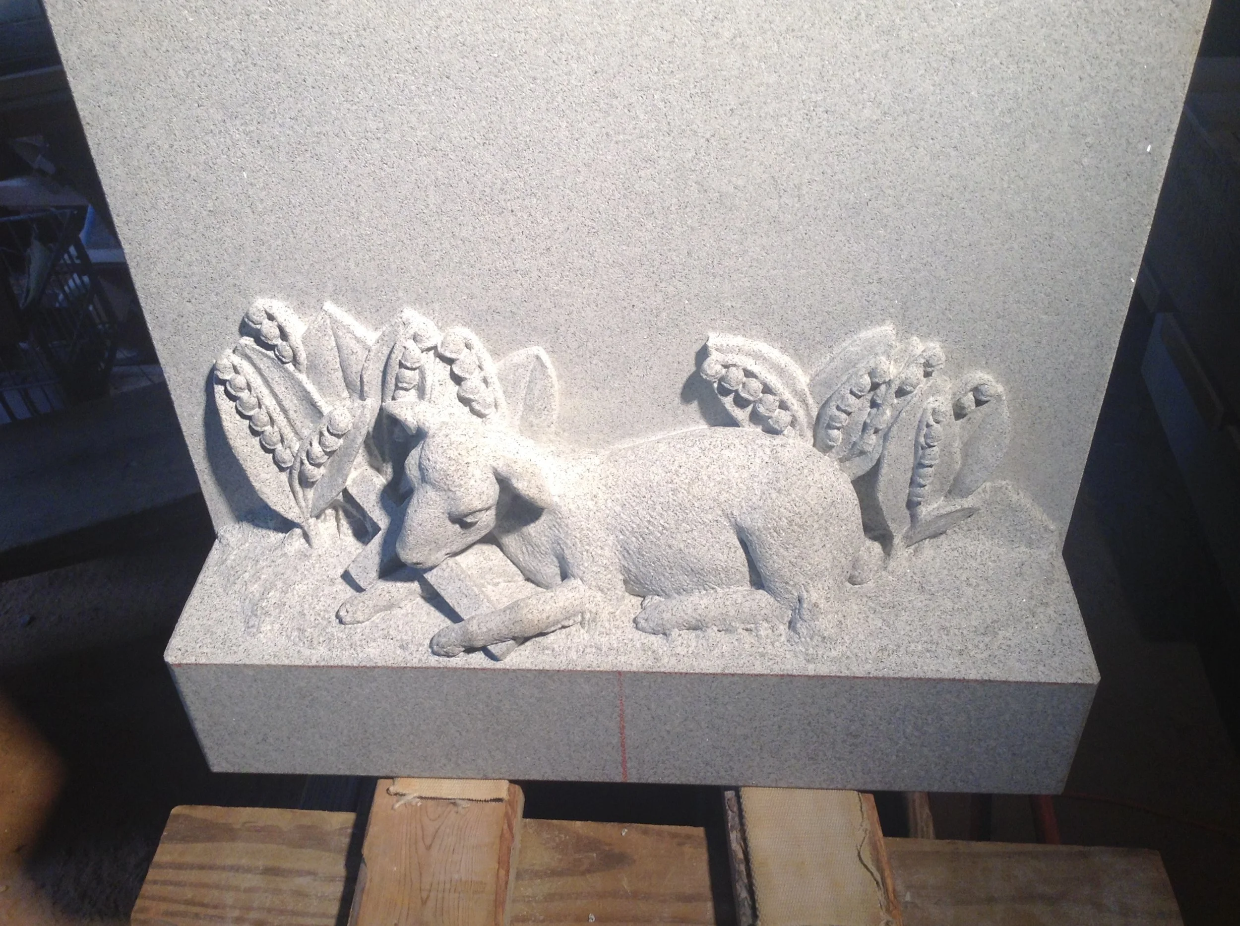 image1.JPG