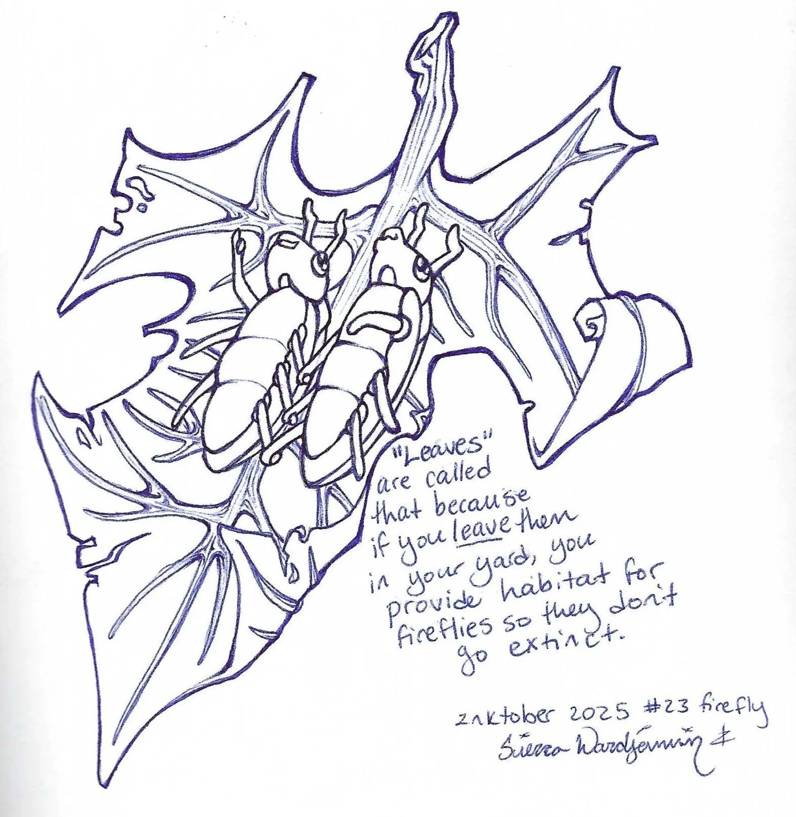 Inktober2025_23 Firefly.jpg