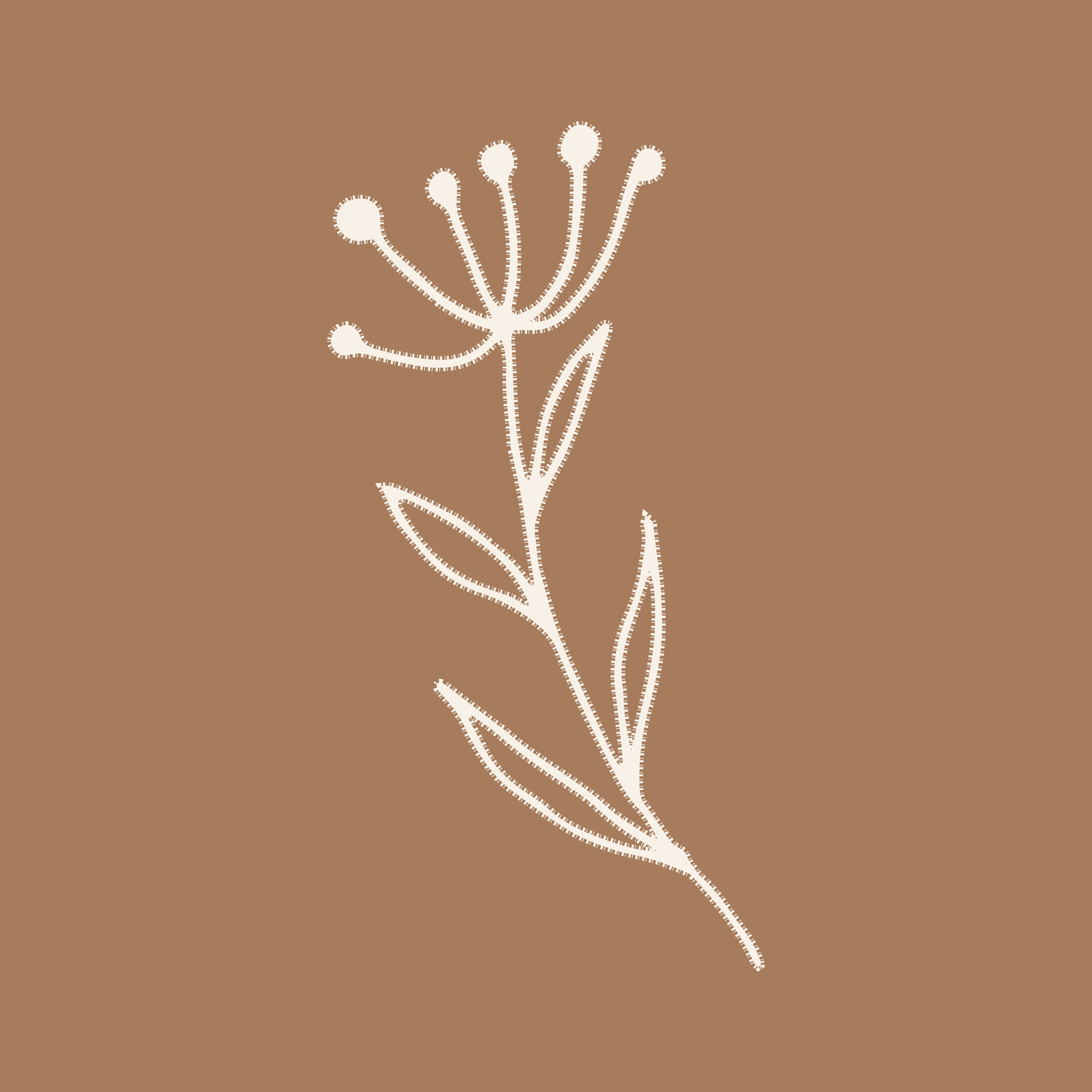 White line drawing of a flower with multiple round buds and elongated leaves on a brown background.