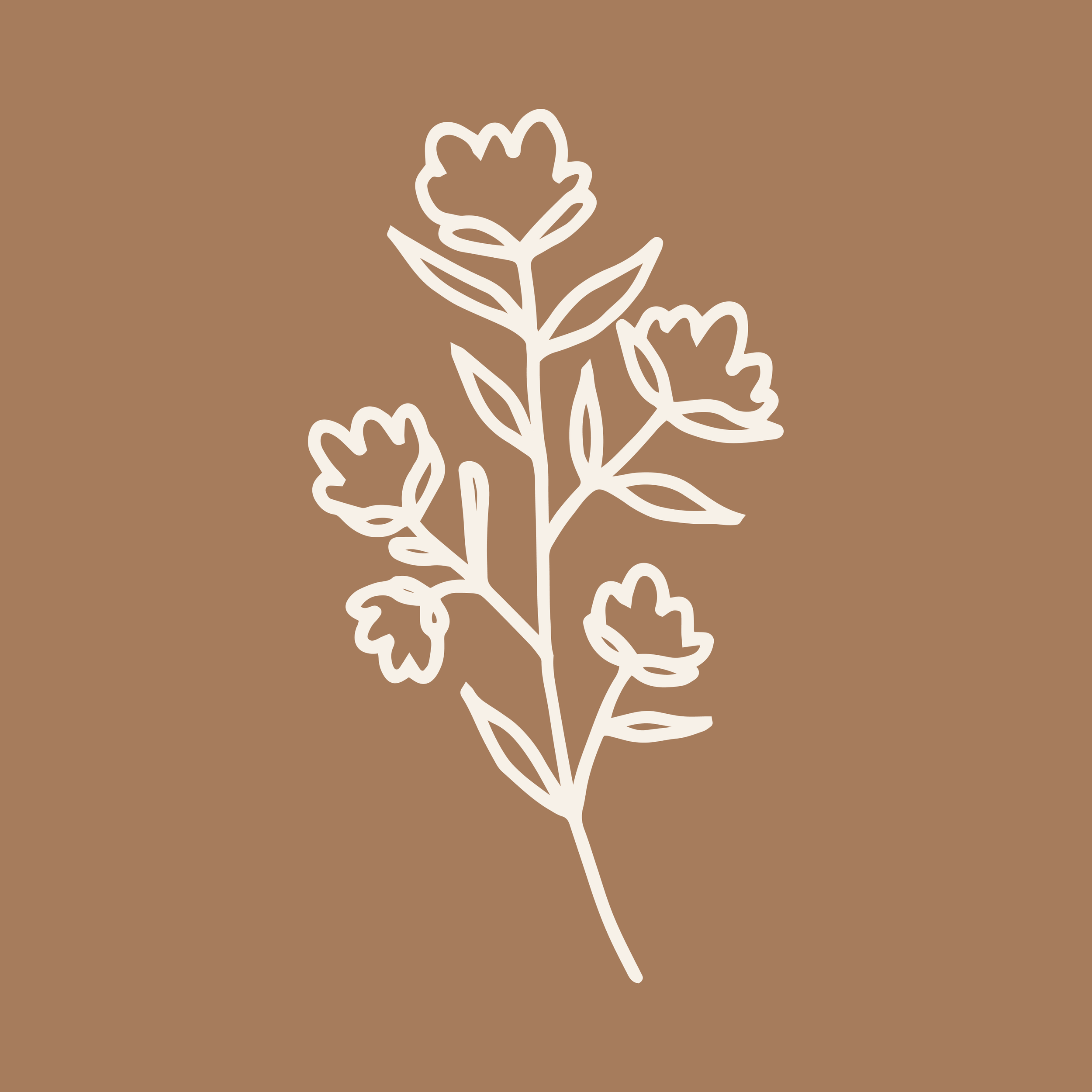 Line drawing of a sprig with four flowers and several leaves on a brown background.