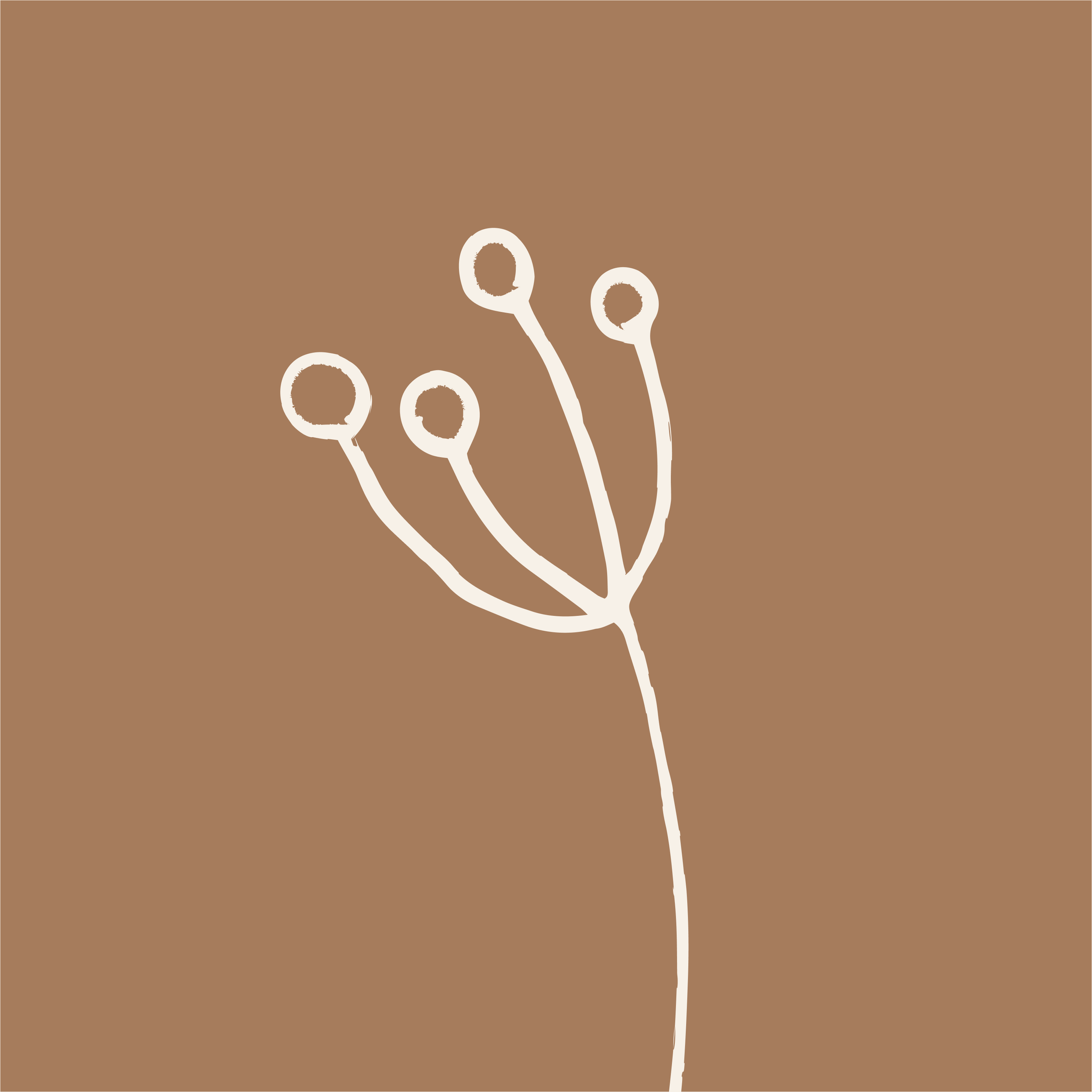 A minimalist line drawing of a botanical or plant stem with five small circular buds or flowers against a brown background.