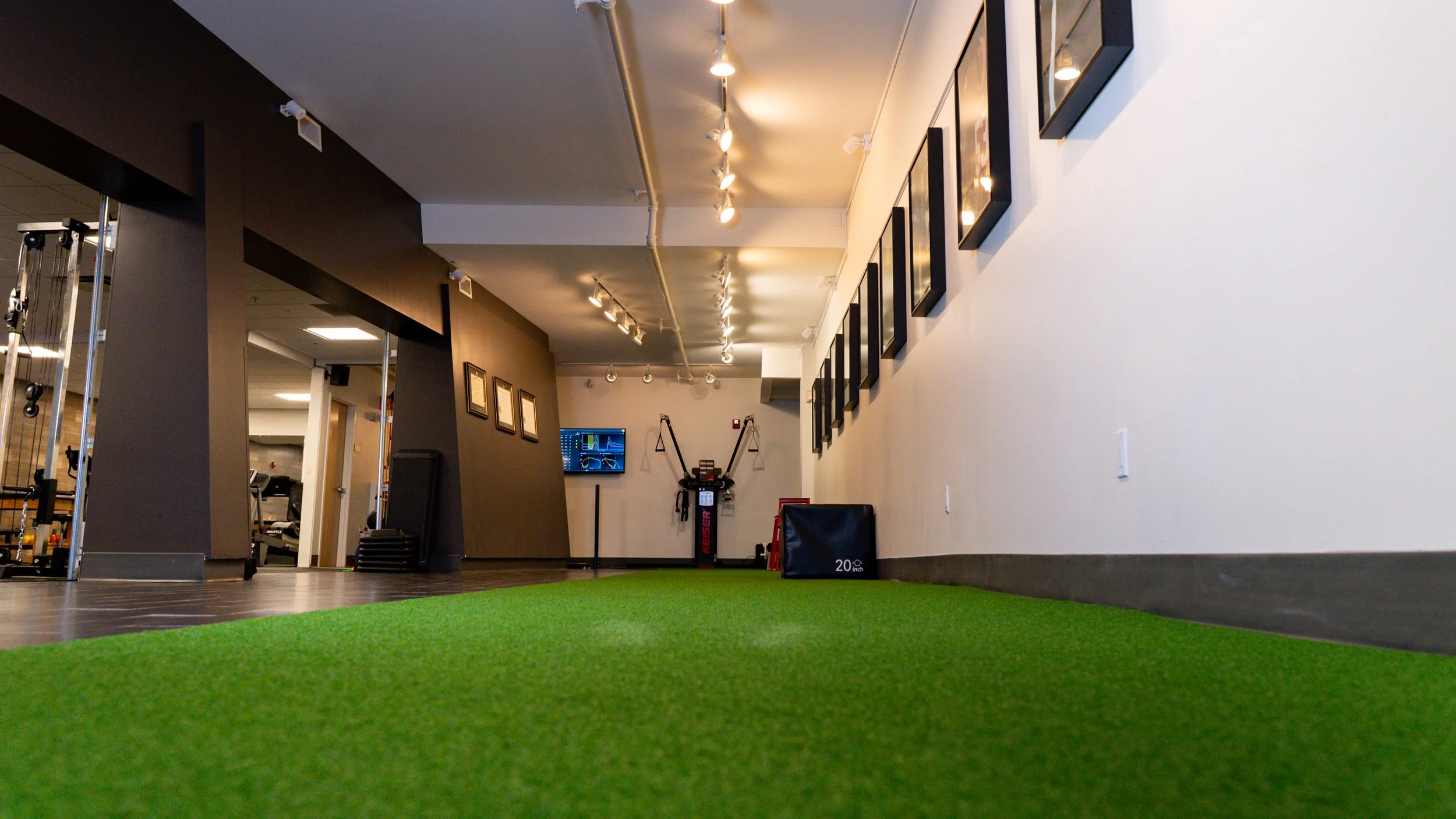 Gym interior with exercise equipment, green turf flooring, framed certificates and photos on walls, overhead lighting, and a display monitor.