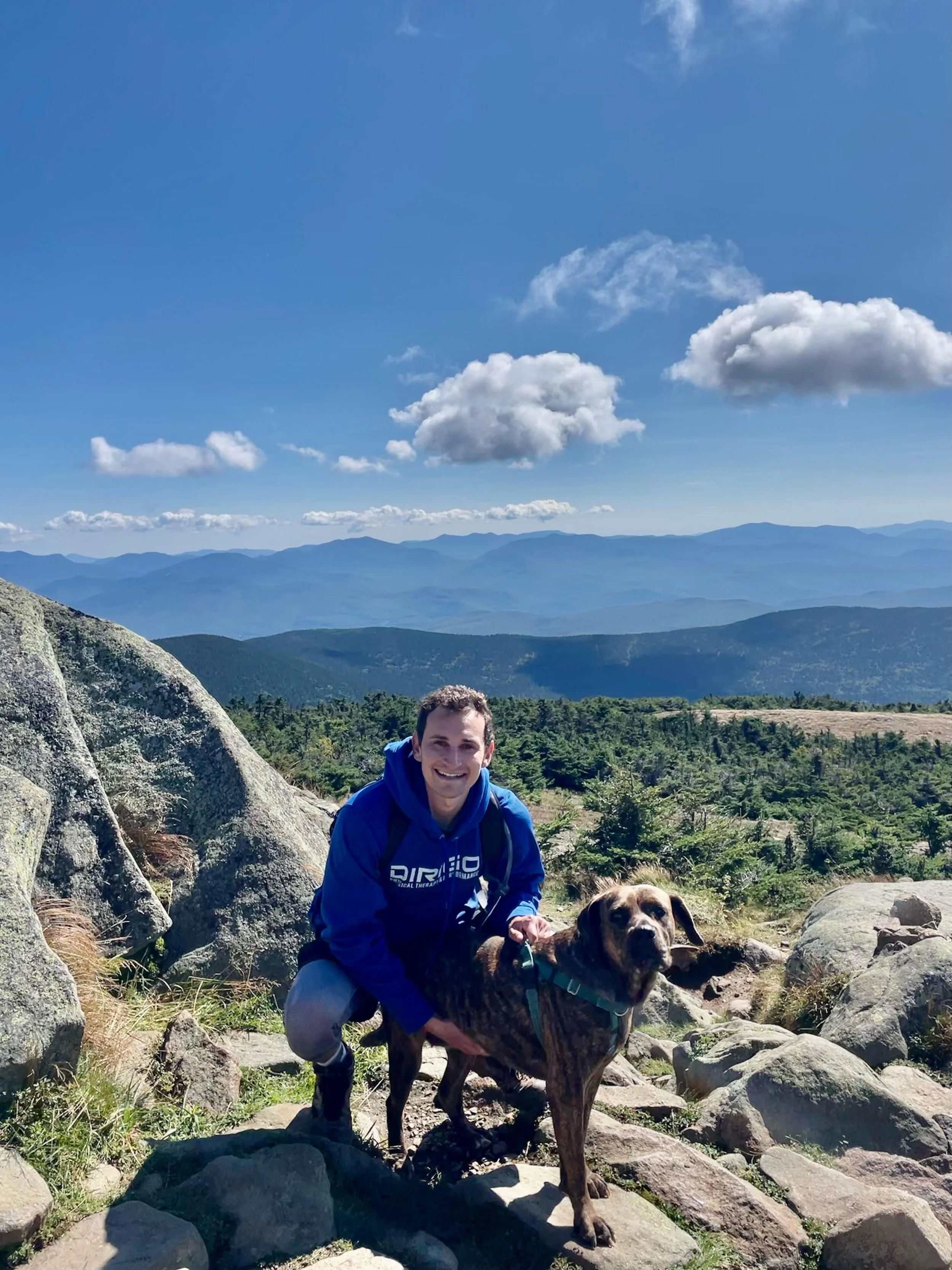 Person in a blue hoodie kneeling next to a brown dog on a rocky mountain with a scenic view of hills and a blue sky with clouds.