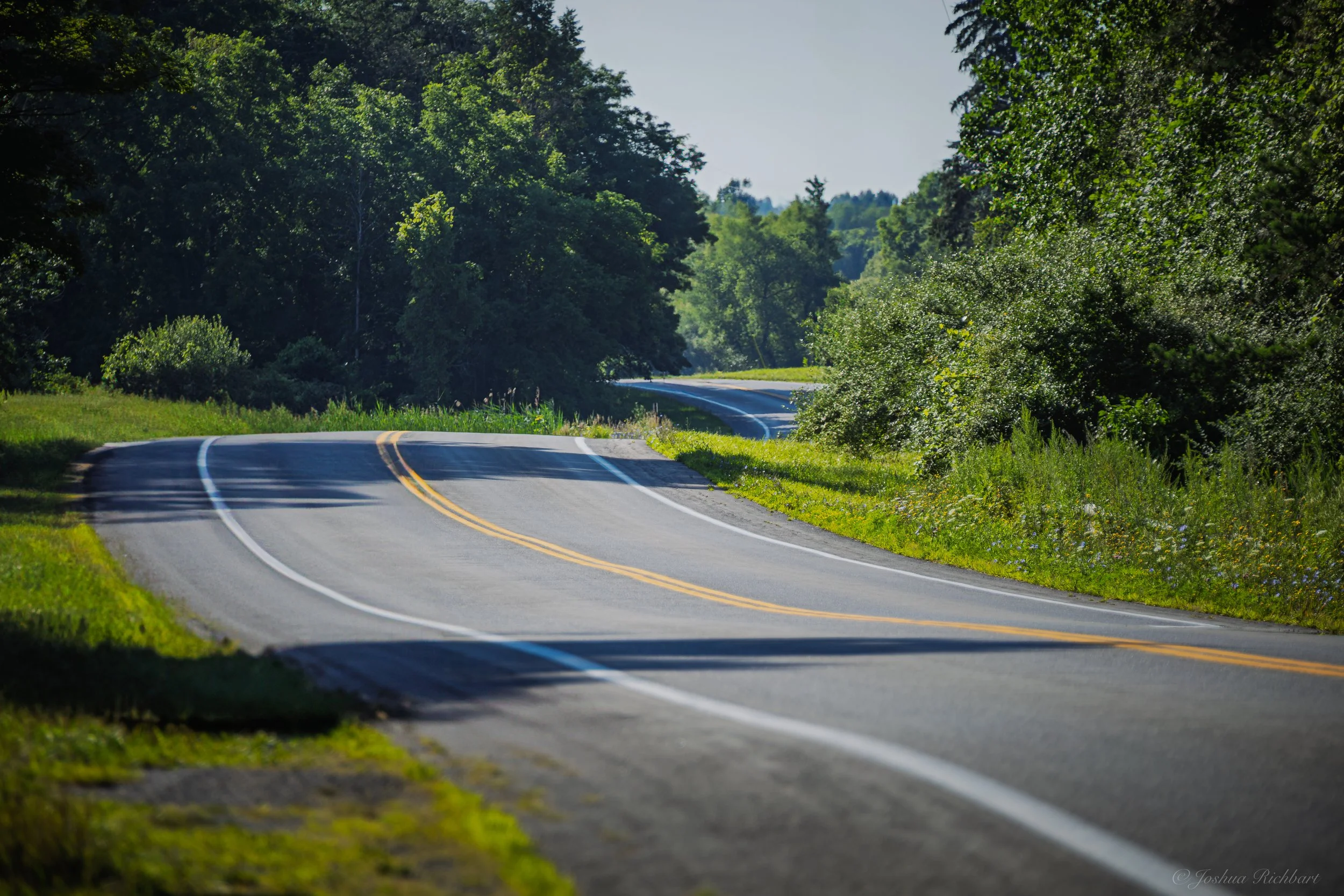 Winding rural road surrounded by green trees and grass under clear sky.