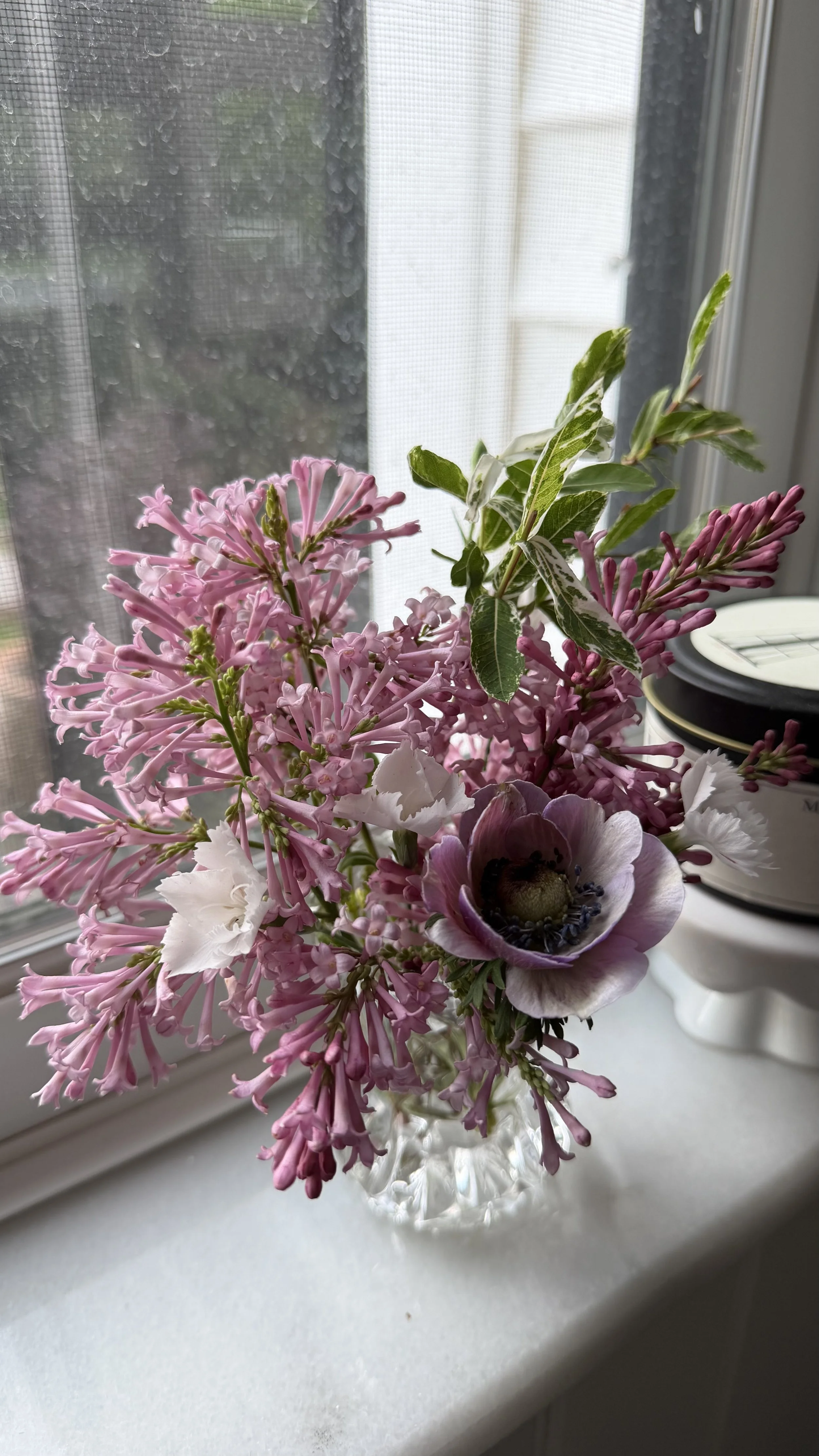 IMG_9391.jpeg